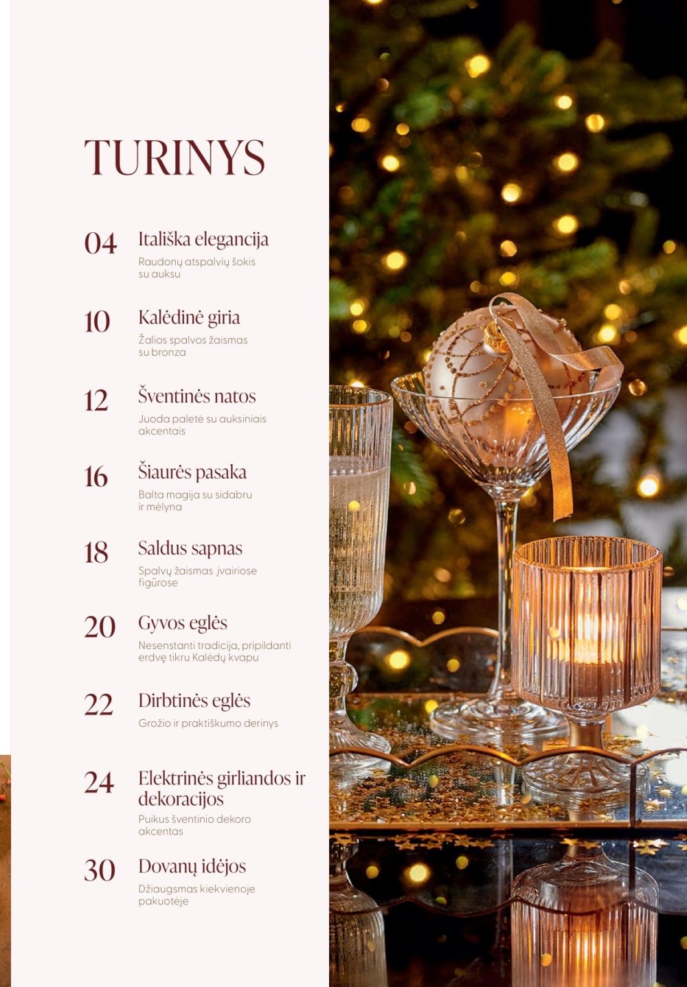 ermitazas - ERMITAŽAS (2025 12 01 - 2026 01 04) - page: 3