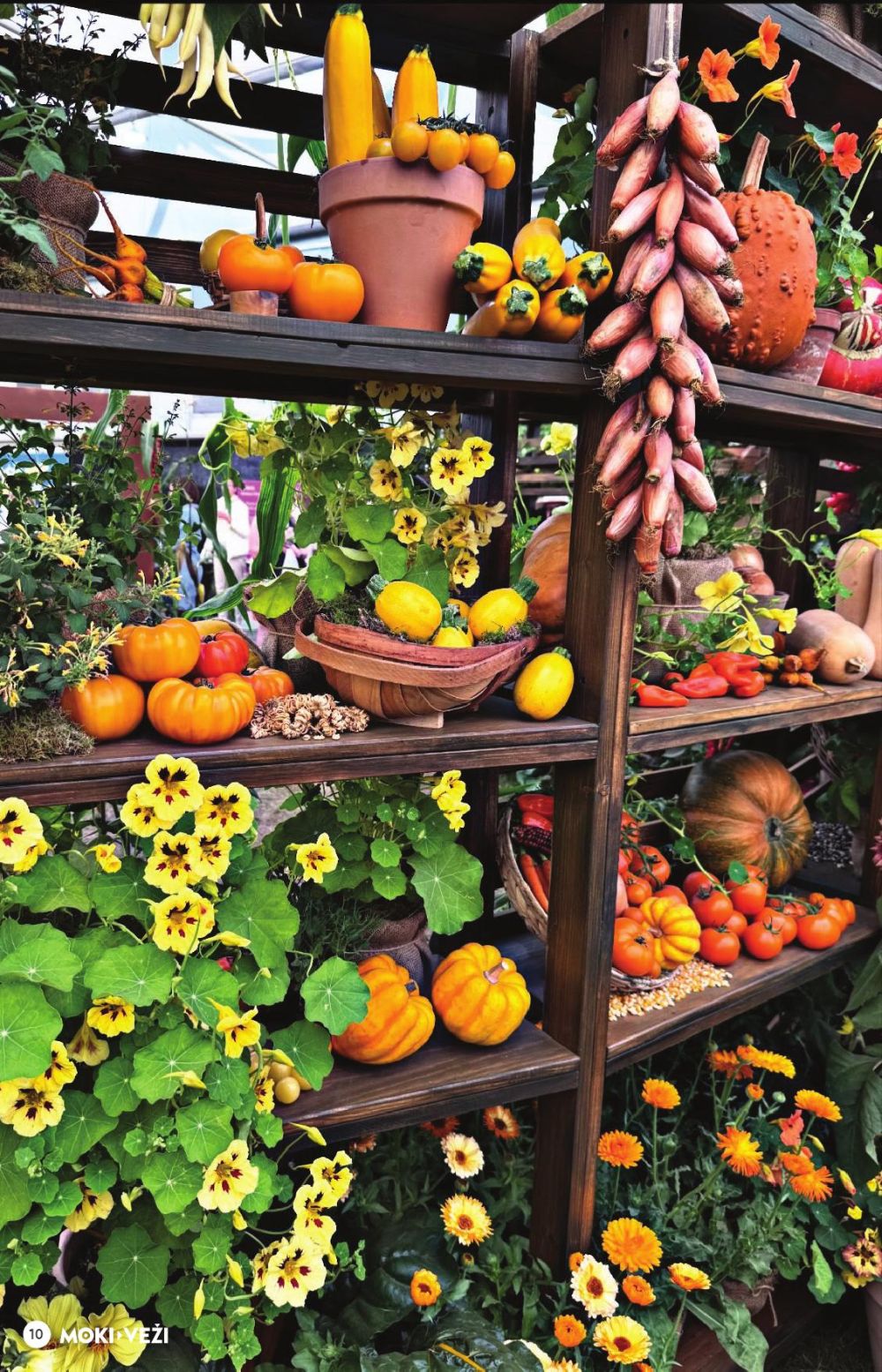 moki-vezi - MOKI - VEŽI - Leidinys Nr.9 (2025 08 21 - 2025 09 16) - page: 10