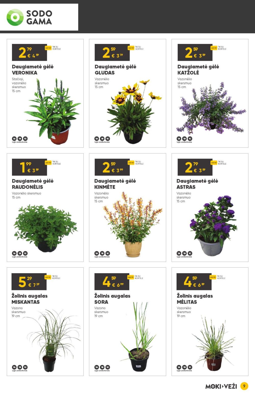 moki-vezi - MOKI - VEŽI - Leidinys Nr.9 (2025 08 21 - 2025 09 16) - page: 9