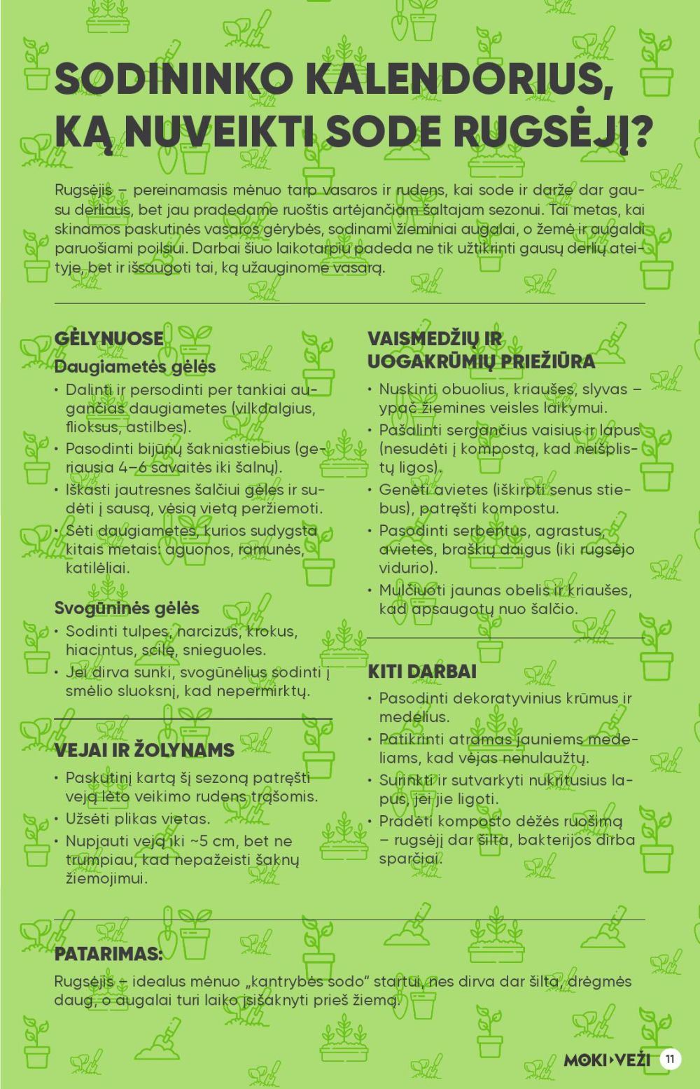 moki-vezi - MOKI - VEŽI - Leidinys Nr.9 (2025 08 21 - 2025 09 16) - page: 11