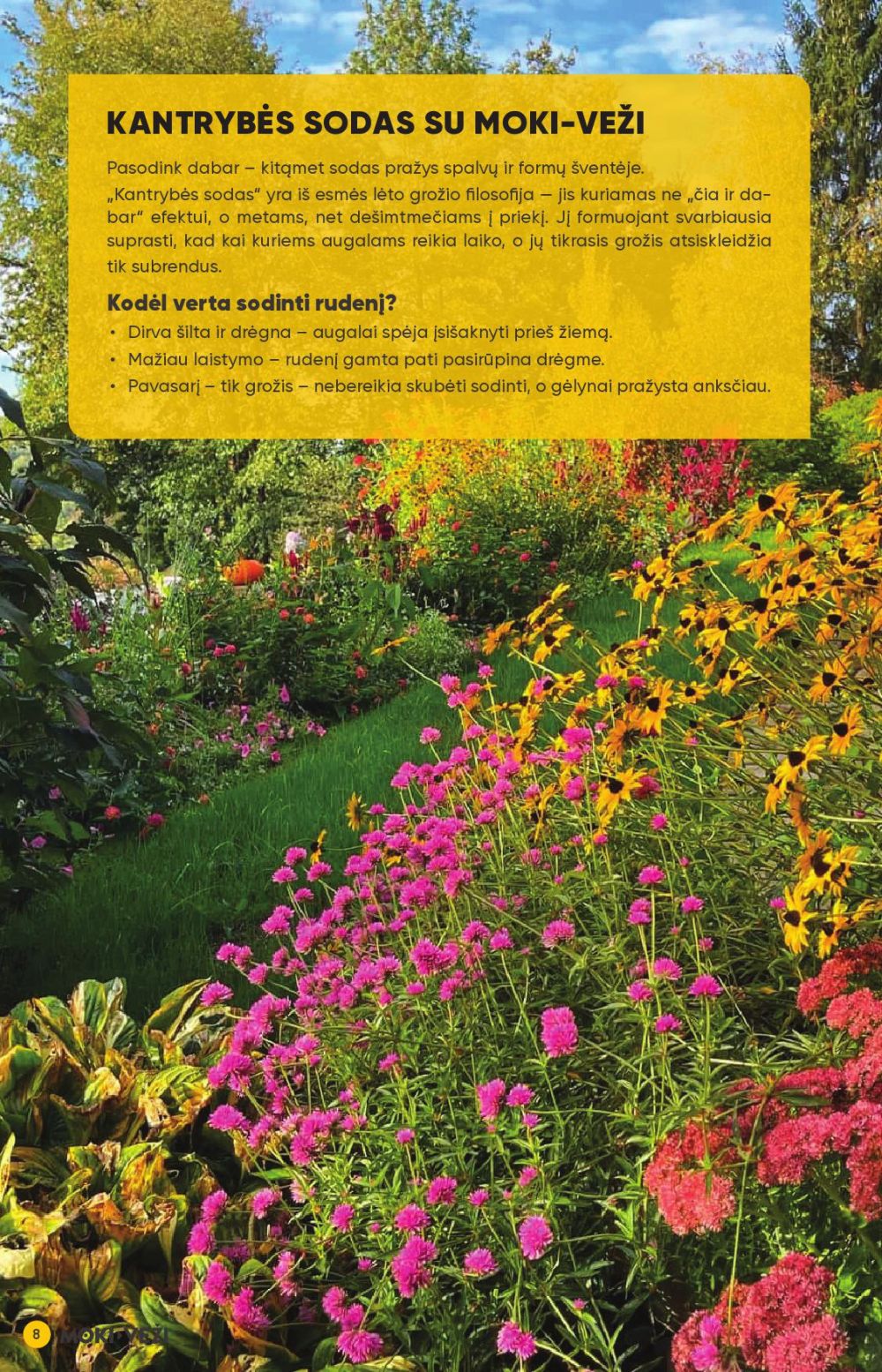 moki-vezi - MOKI - VEŽI - Leidinys Nr.9 (2025 08 21 - 2025 09 16) - page: 8