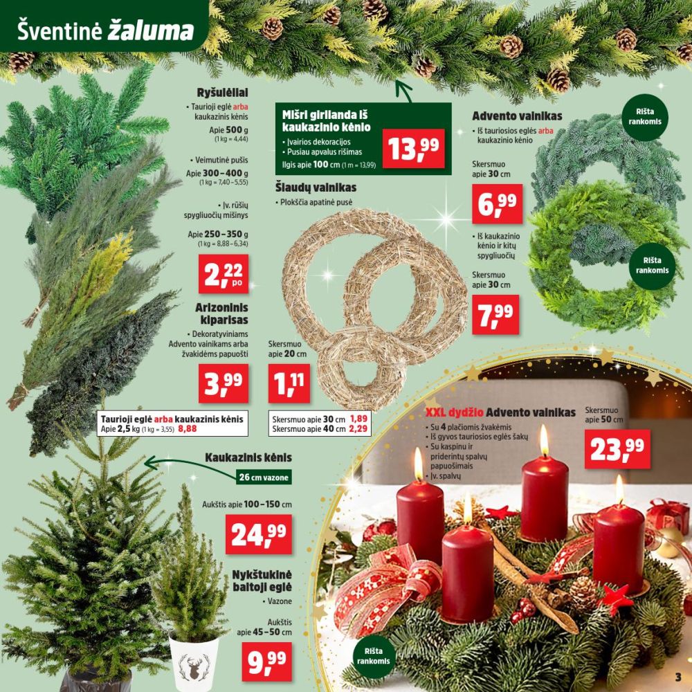 thomas-philipps - THOMAS PHILIPPS (2025 11 24 - 2025 11 29) - page: 3