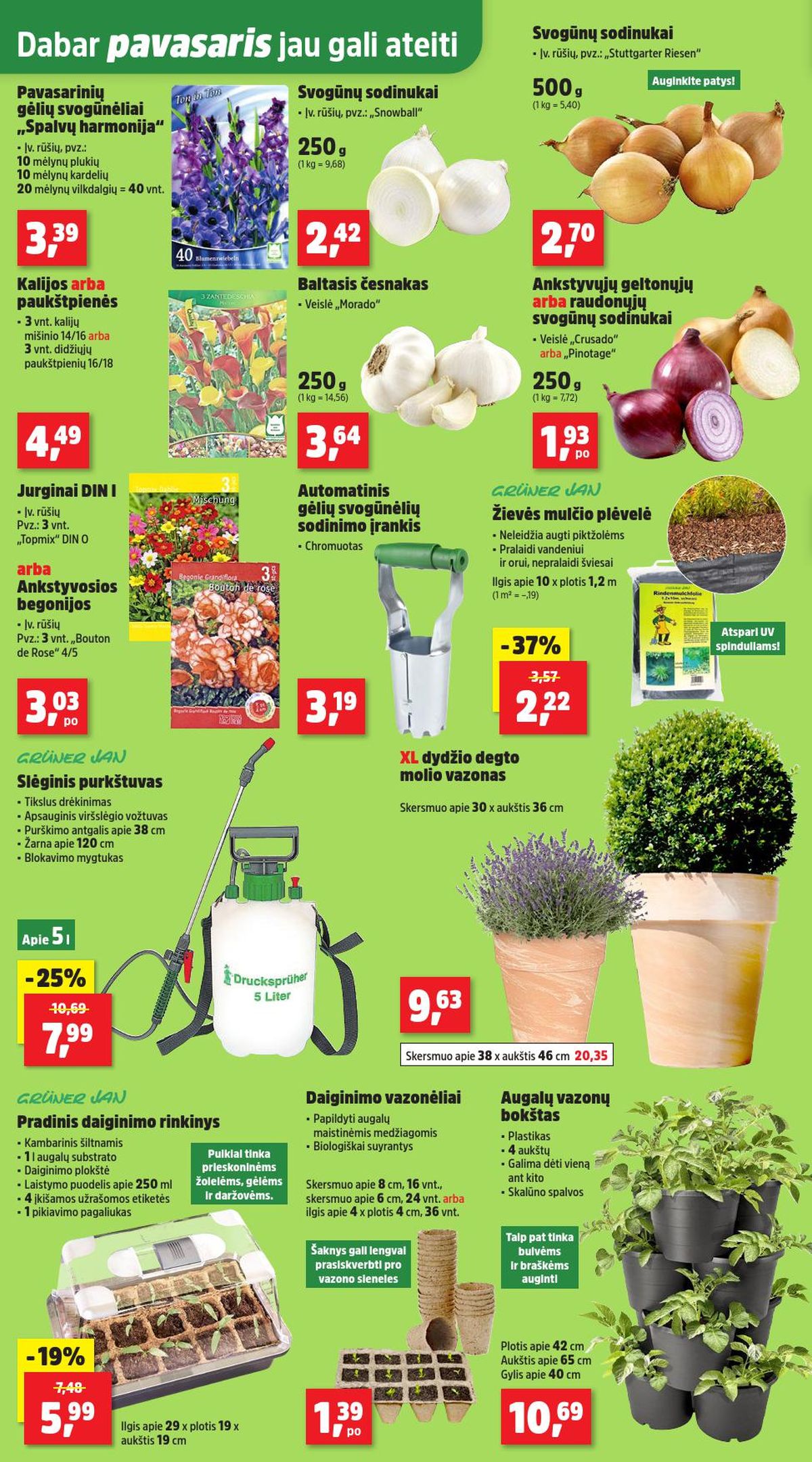 thomas-philipps - THOMAS PHILIPPS (2026 02 17 - 2026 02 21) - page: 2