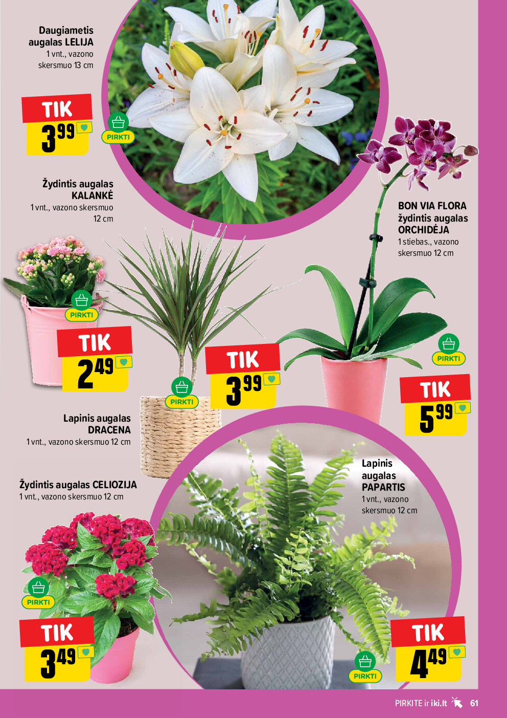 iki -  (2026-06-08 - 2026-06-14) - page: 61