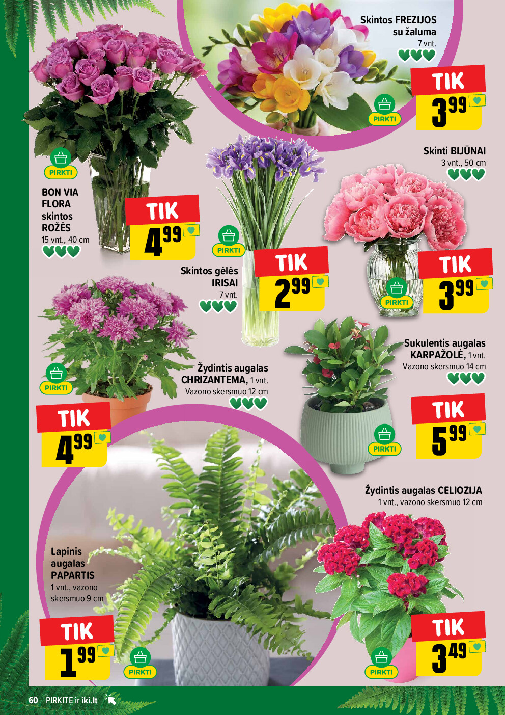 iki -  (2026-06-22 - 2026-06-28) - page: 60