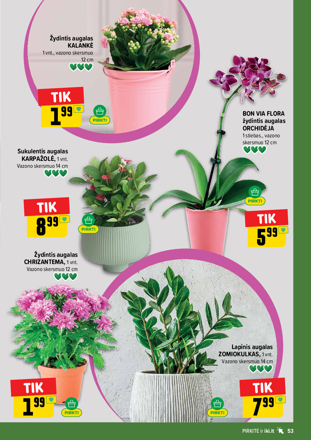 iki -  (2026-07-06 - 2026-07-12) - page: 53