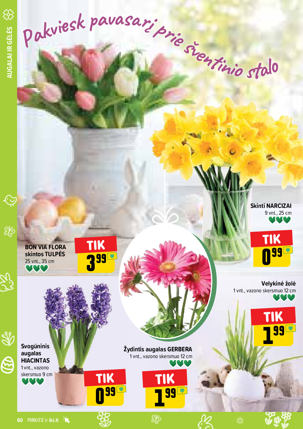 iki -  (2026-03-30 - 2026-04-04) - page: 60