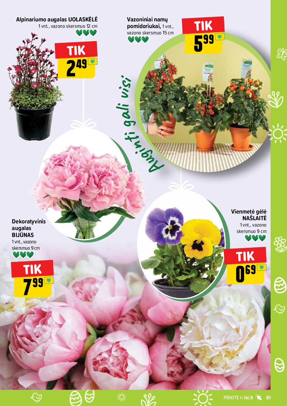 iki -  (2026-03-30 - 2026-04-04) - page: 61