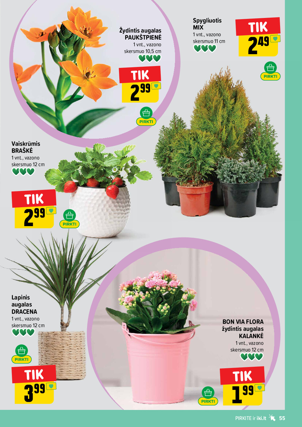 iki -  (2026-04-06 - 2026-04-12) - page: 55