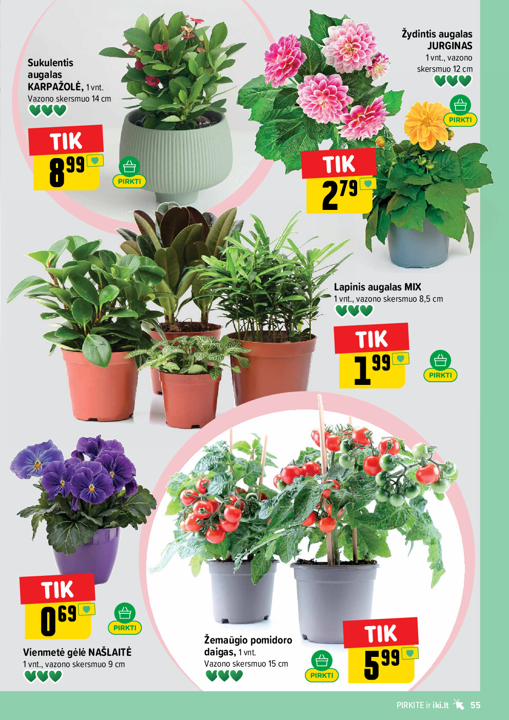 iki -  (2026-04-13 - 2026-04-19) - page: 55