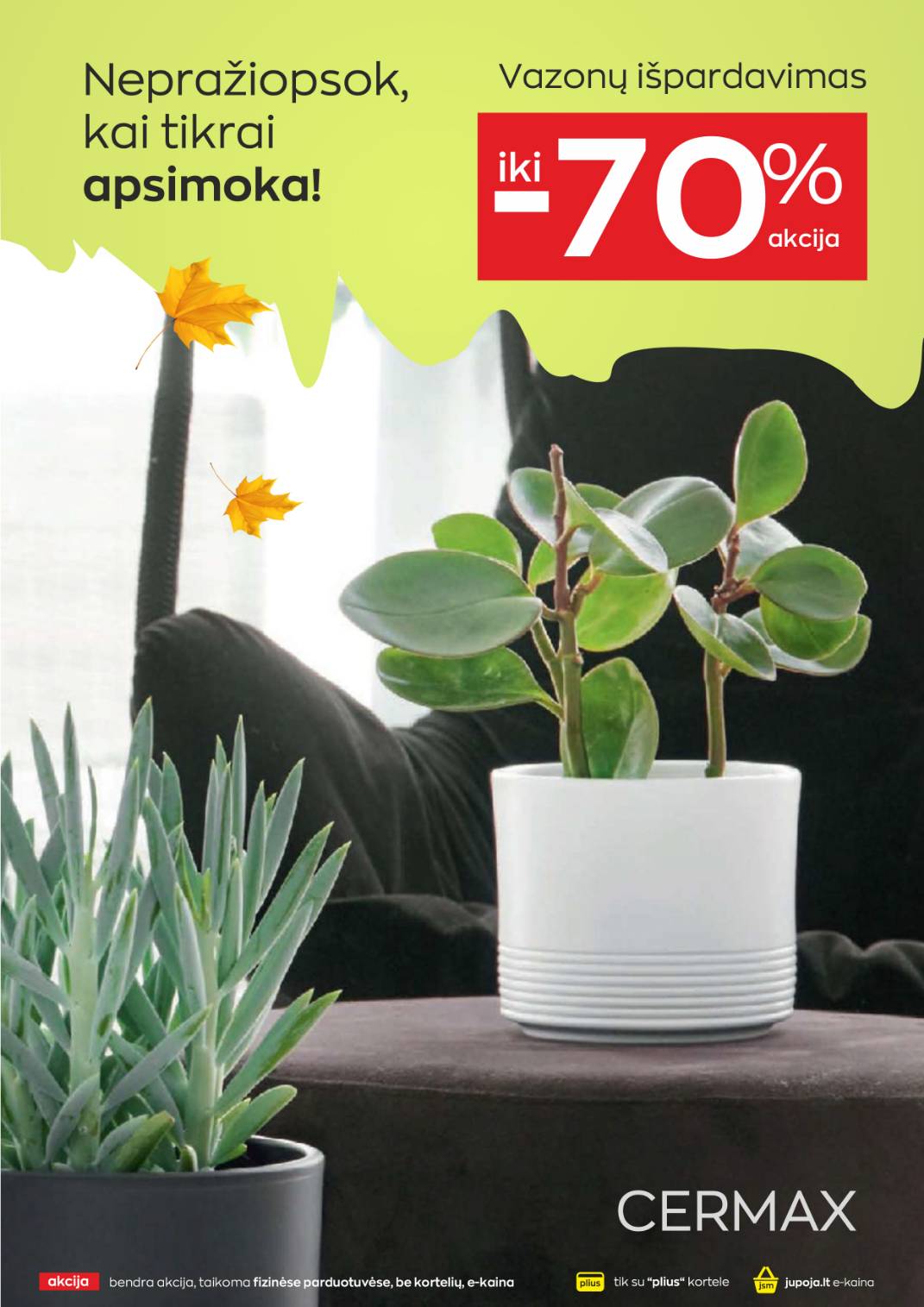 jupoja - JUPOJA rudens sulaukus! - page: 9