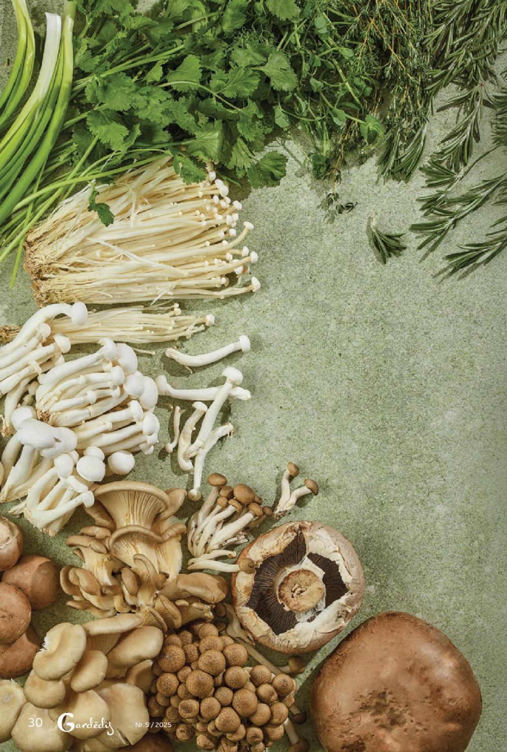 rimi - RIMI - Gardēdis Nr.5 - page: 30