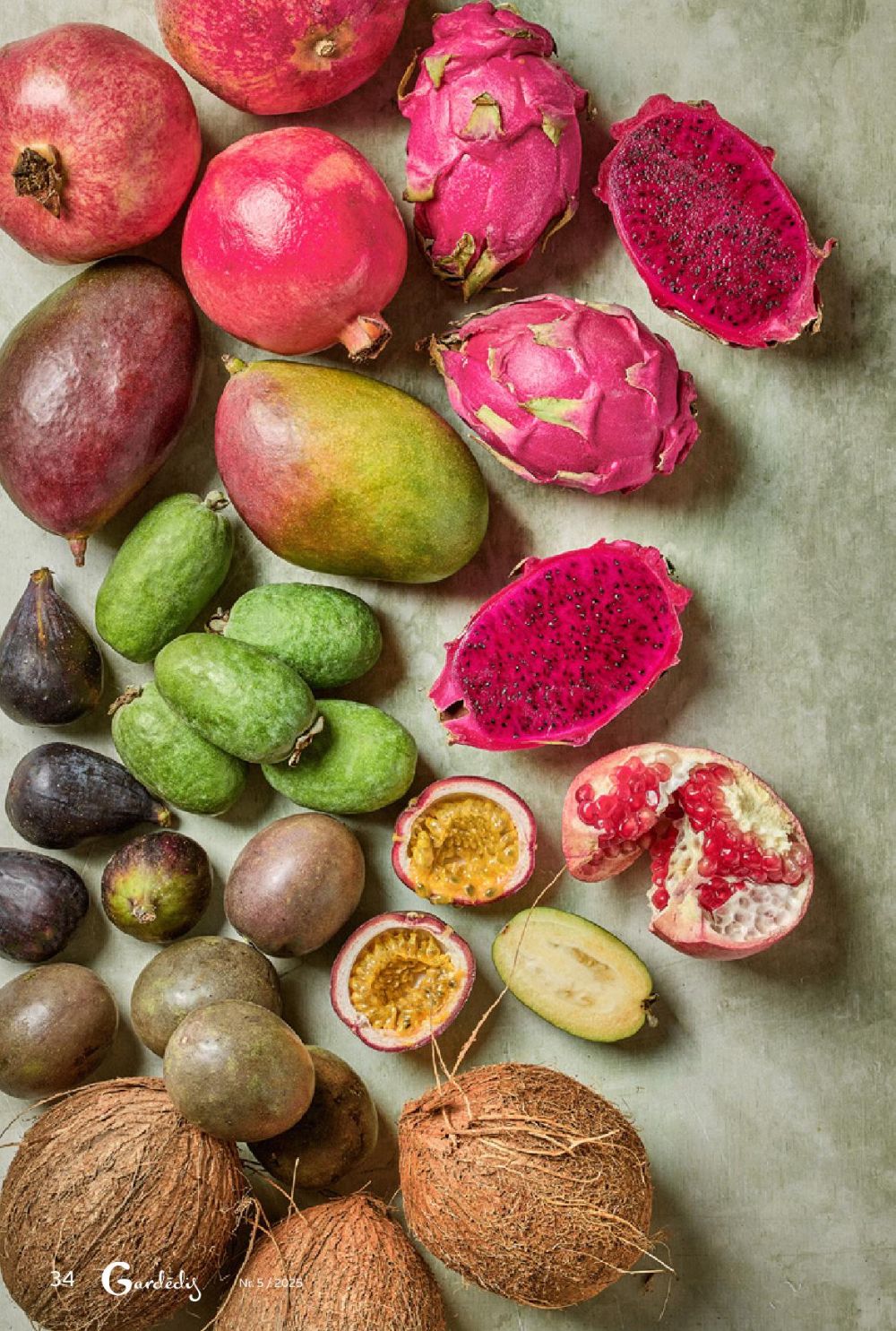 rimi - RIMI - Gardēdis Nr.5 - page: 34