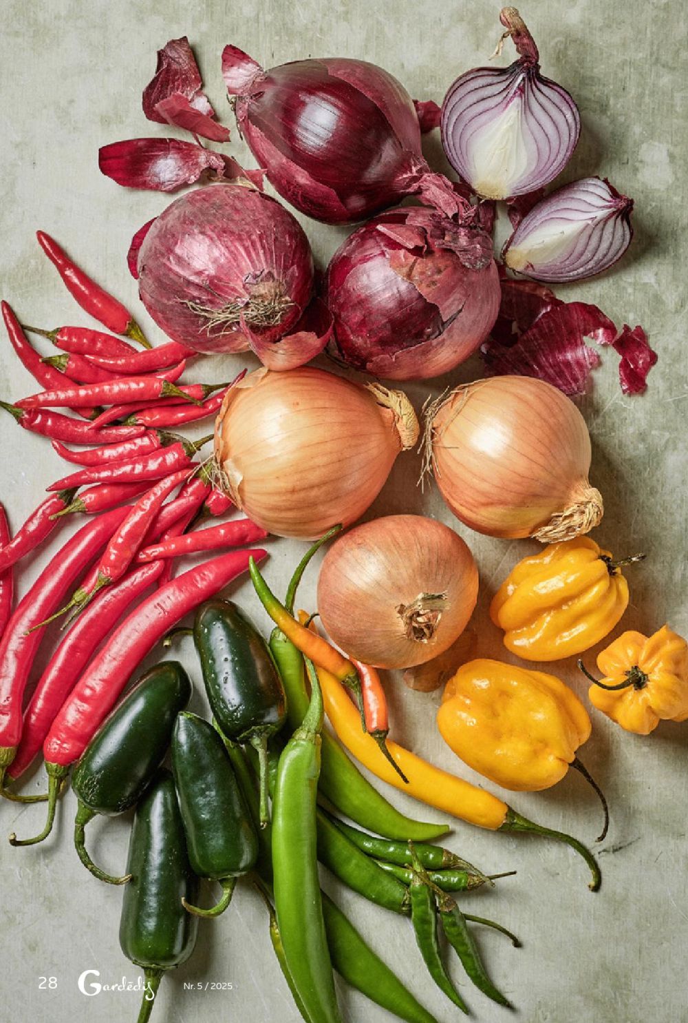 rimi - RIMI - Gardēdis Nr.5 - page: 28