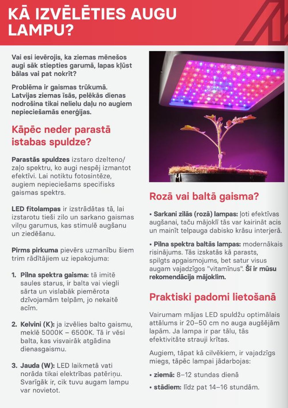 kursi - KURŠI (01.02.2026 - 28.02.2026) - page: 18