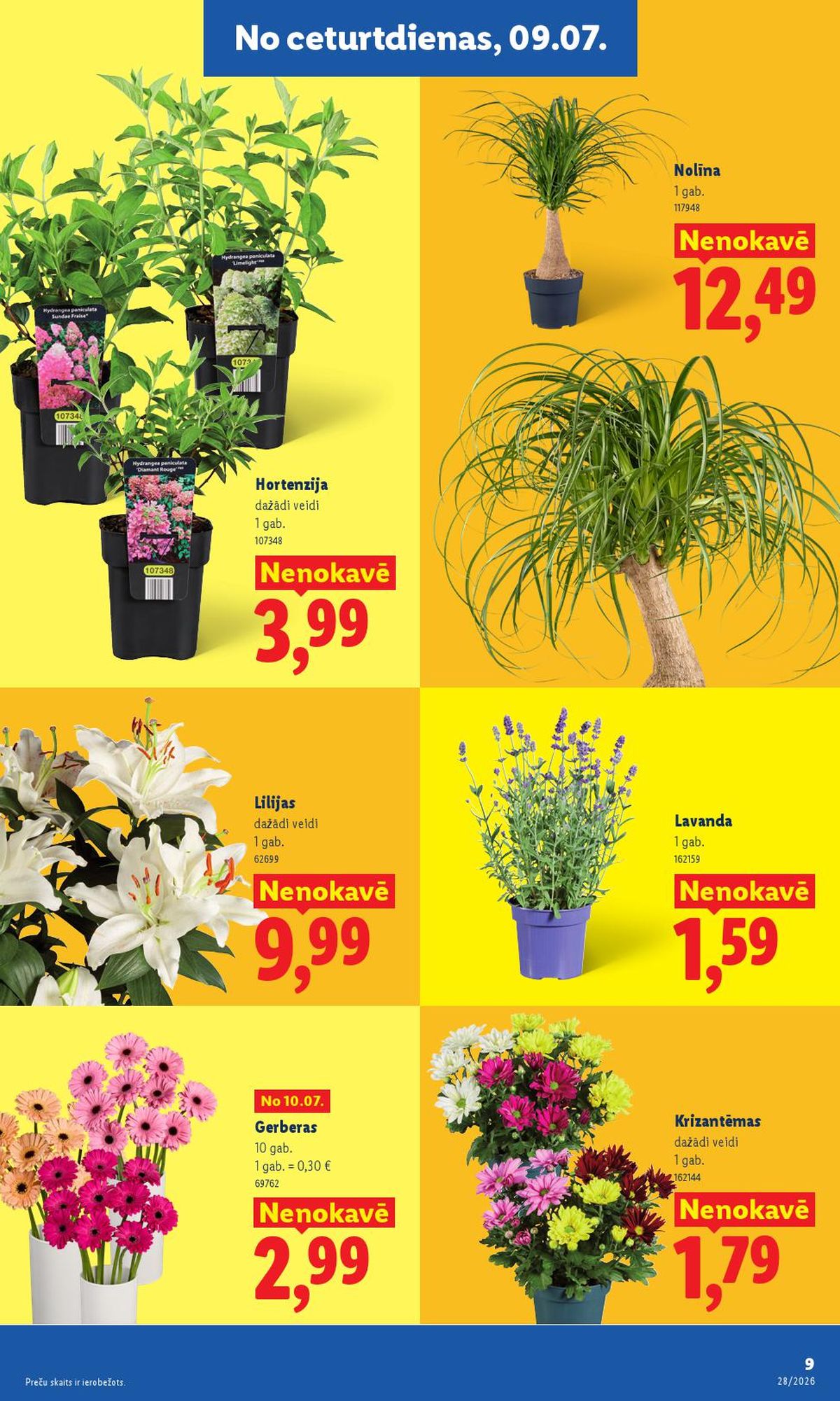 lidl - LIDL - Aktuālais akciju buklets (06.07.2026 - 12.07.2026) - page: 5