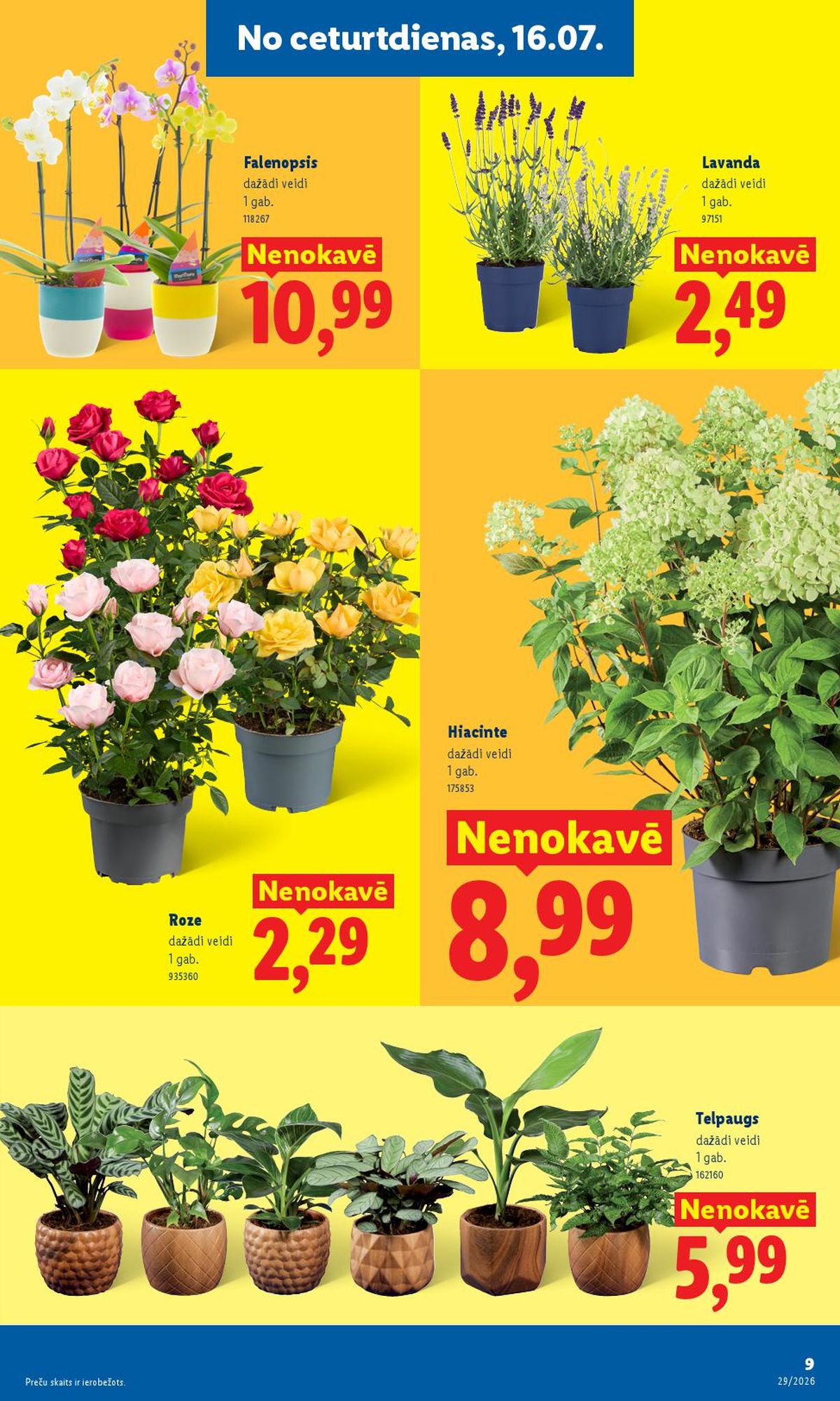 lidl - LIDL (13.07.2026 - 19.07.2026) - page: 5