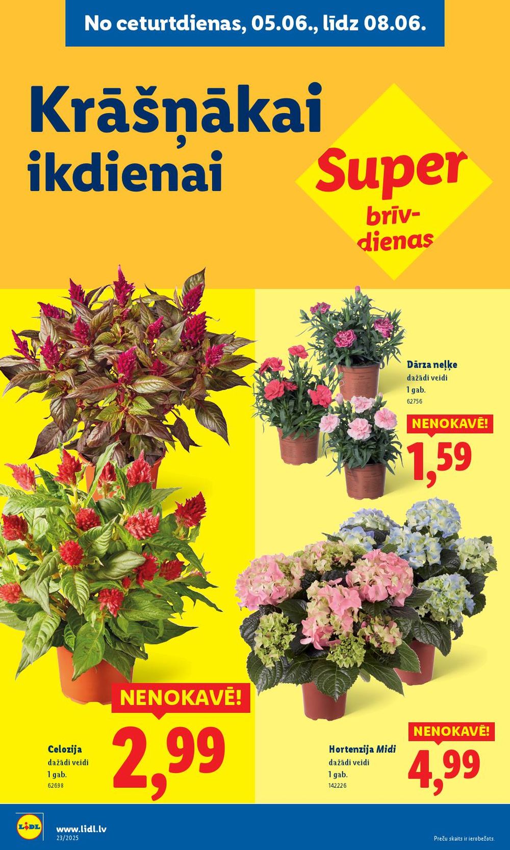 lidl - LIDL (05.06.2025 - 08.06.2025) - page: 8 lidl - LIDL (05.06.2025 - 08.06.2025) - page: 8