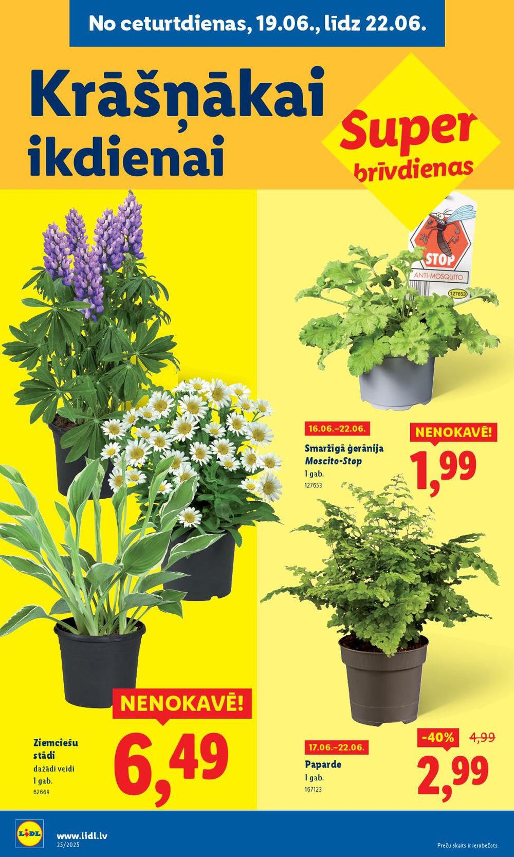 lidl - LIDL (19.06.2025 - 22.06.2025) - page: 10 lidl - LIDL (19.06.2025 - 22.06.2025) - page: 10