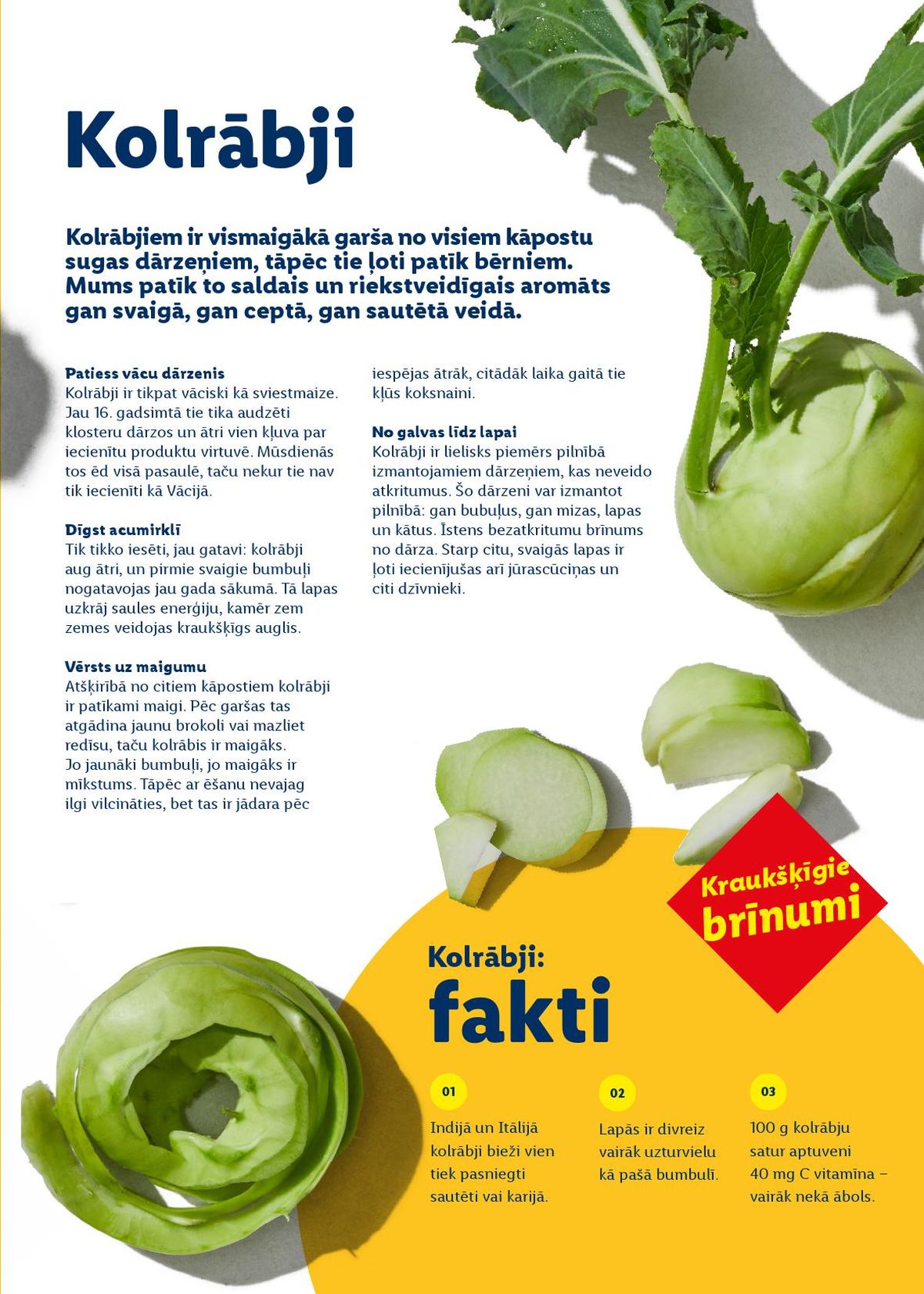 lidl - LIDL - Prieka pilnas Lieldienas - page: 38