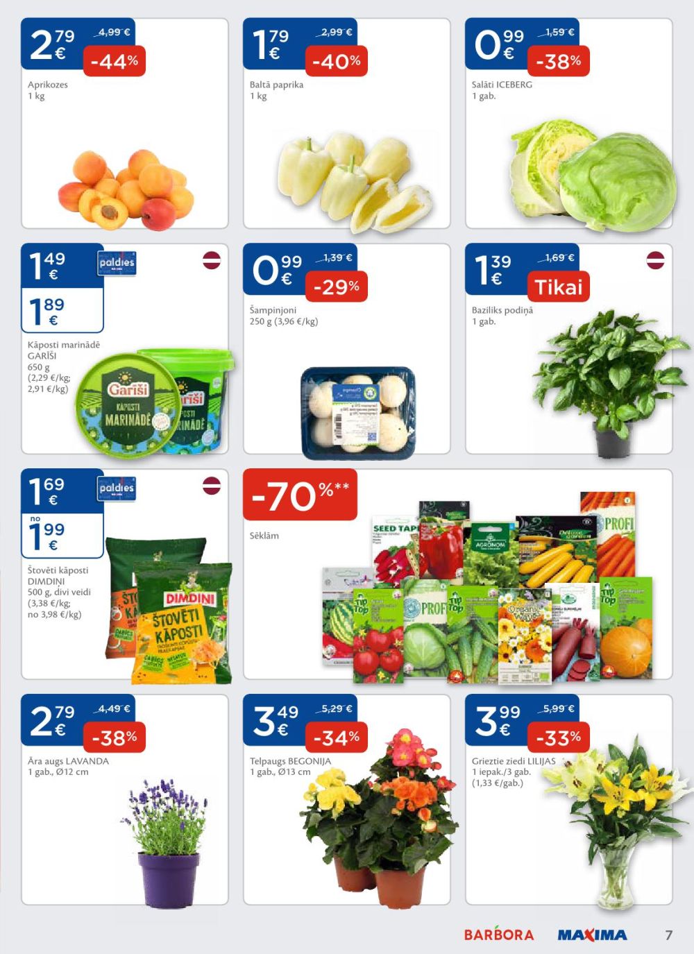maxima - MAXIMA X XX XXX (10.06.2024 - 16.06.2025) - page: 7
