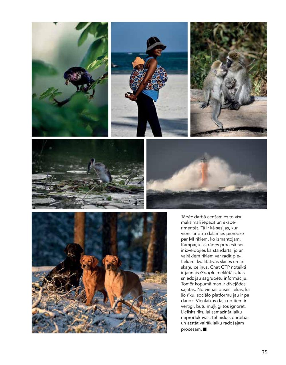 douglas - DOUGLAS - Pavasaris-Vasara 2025 - page: 35