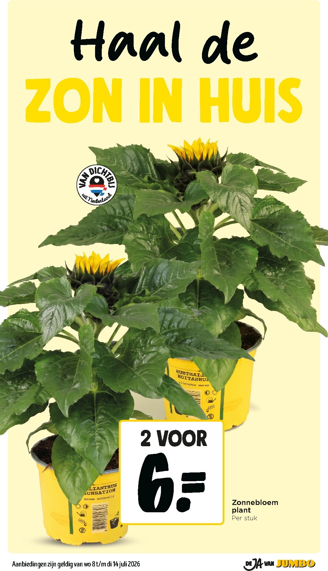 jumbo - Toekomstige Jumbo folder geldig van woensdag 08-07-2026 tot dinsdag 14-07-2026 - page: 6