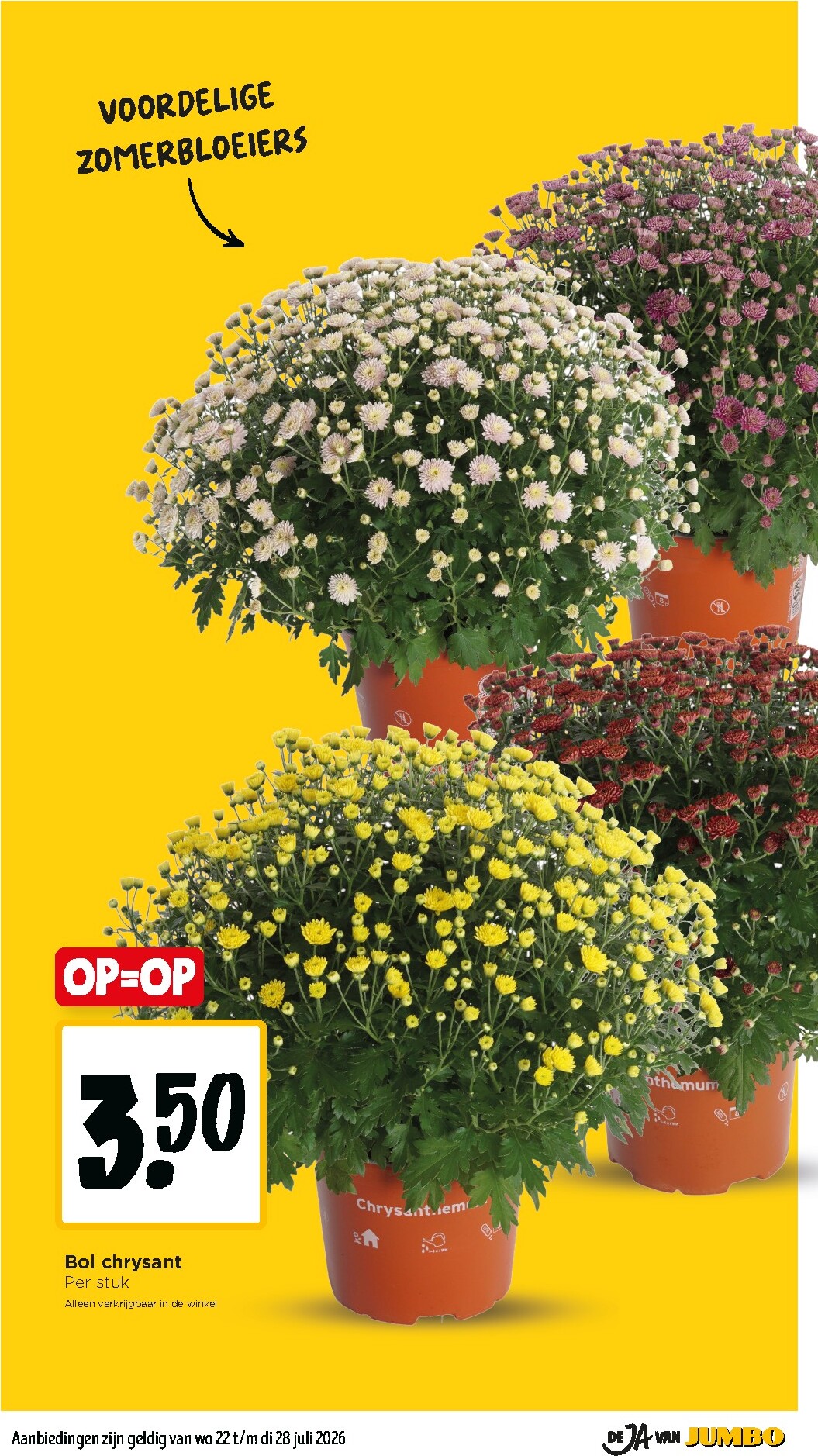 jumbo - Huidige Jumbo folder geldig van woensdag 22-07-2026 tot dinsdag 28-07-2026 - page: 30