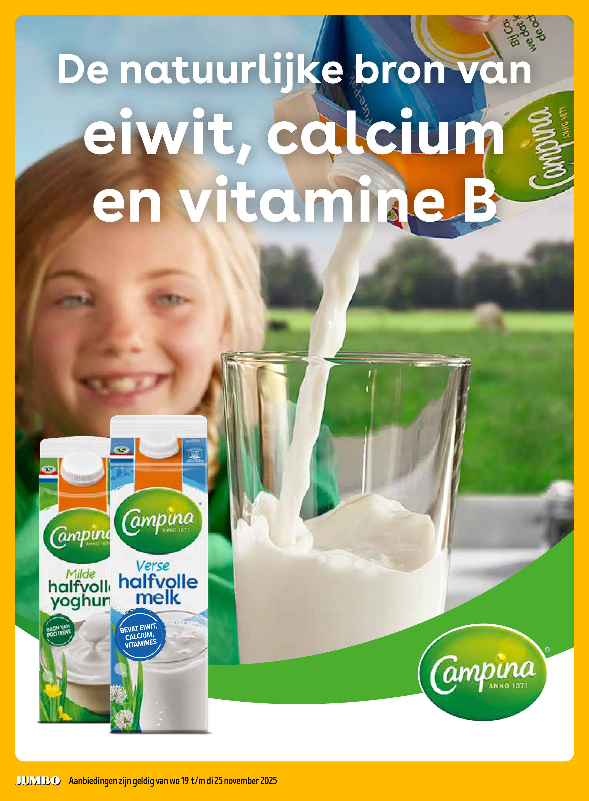 jumbo - De Jumbo folder geldig vanaf 19-11 t/m 25-11 - page: 12