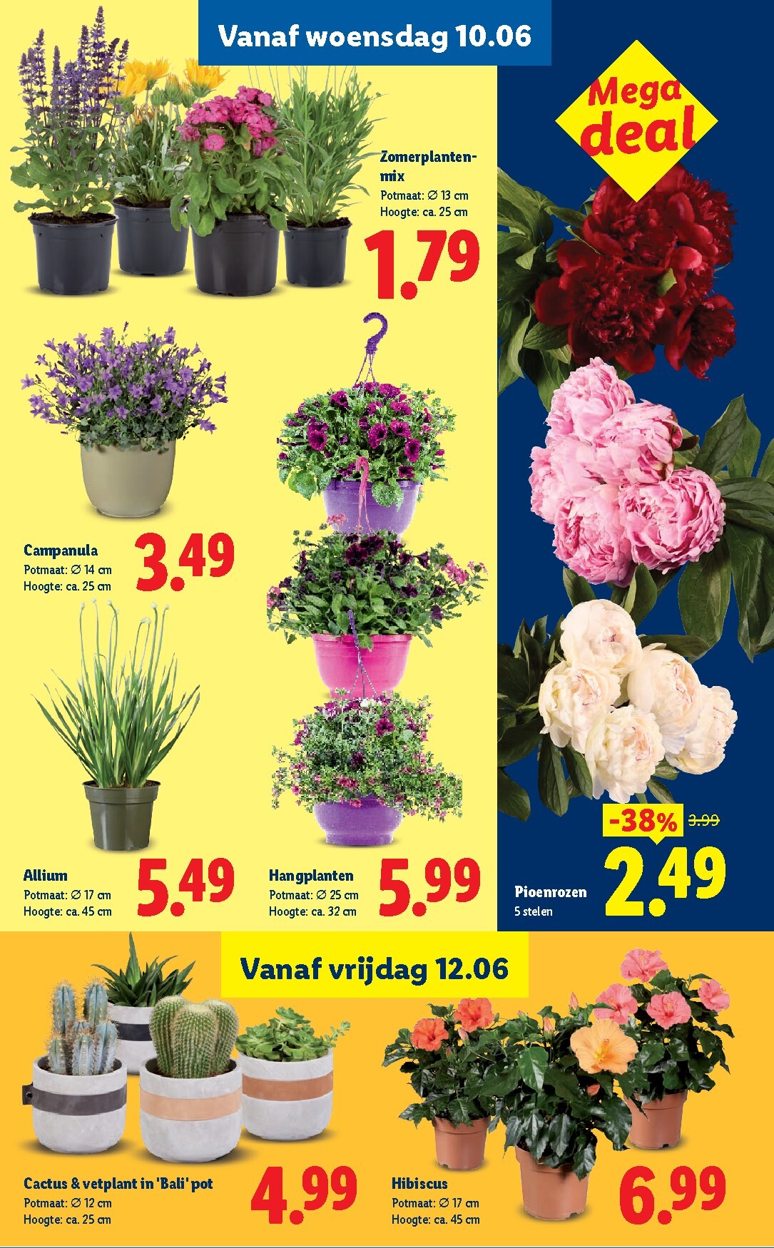 lidl - Lidl folder voor volgende week van maandag 08-06-2026 tot zondag 14-06-2026 - page: 25