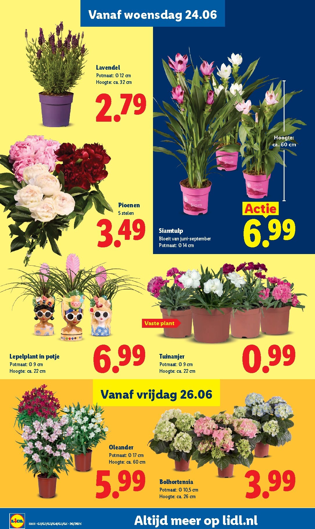lidl - Lidl folder voor volgende week van maandag 22-06-2026 tot zondag 28-06-2026 - page: 19
