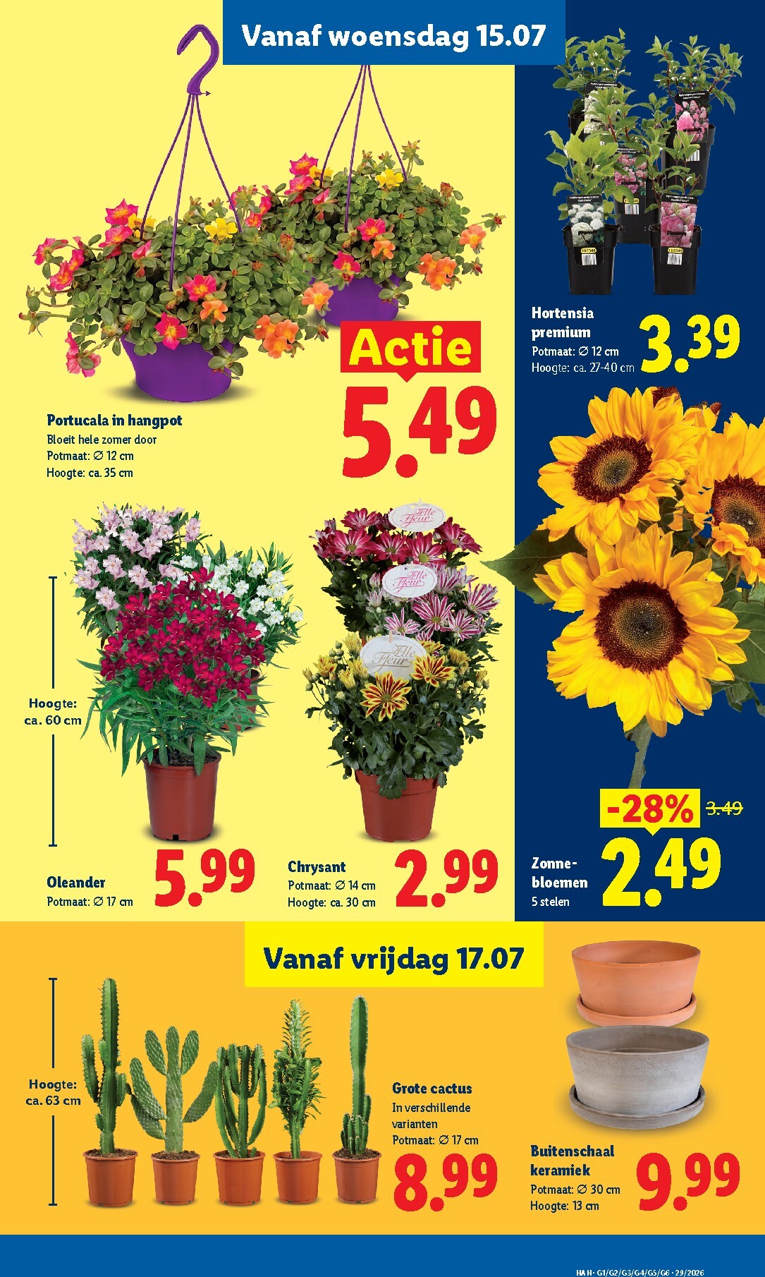 lidl - Huidige Lidl - Folder - Week 29 folder geldig van maandag 13-07-2026 tot zondag 19-07-2026 - page: 17