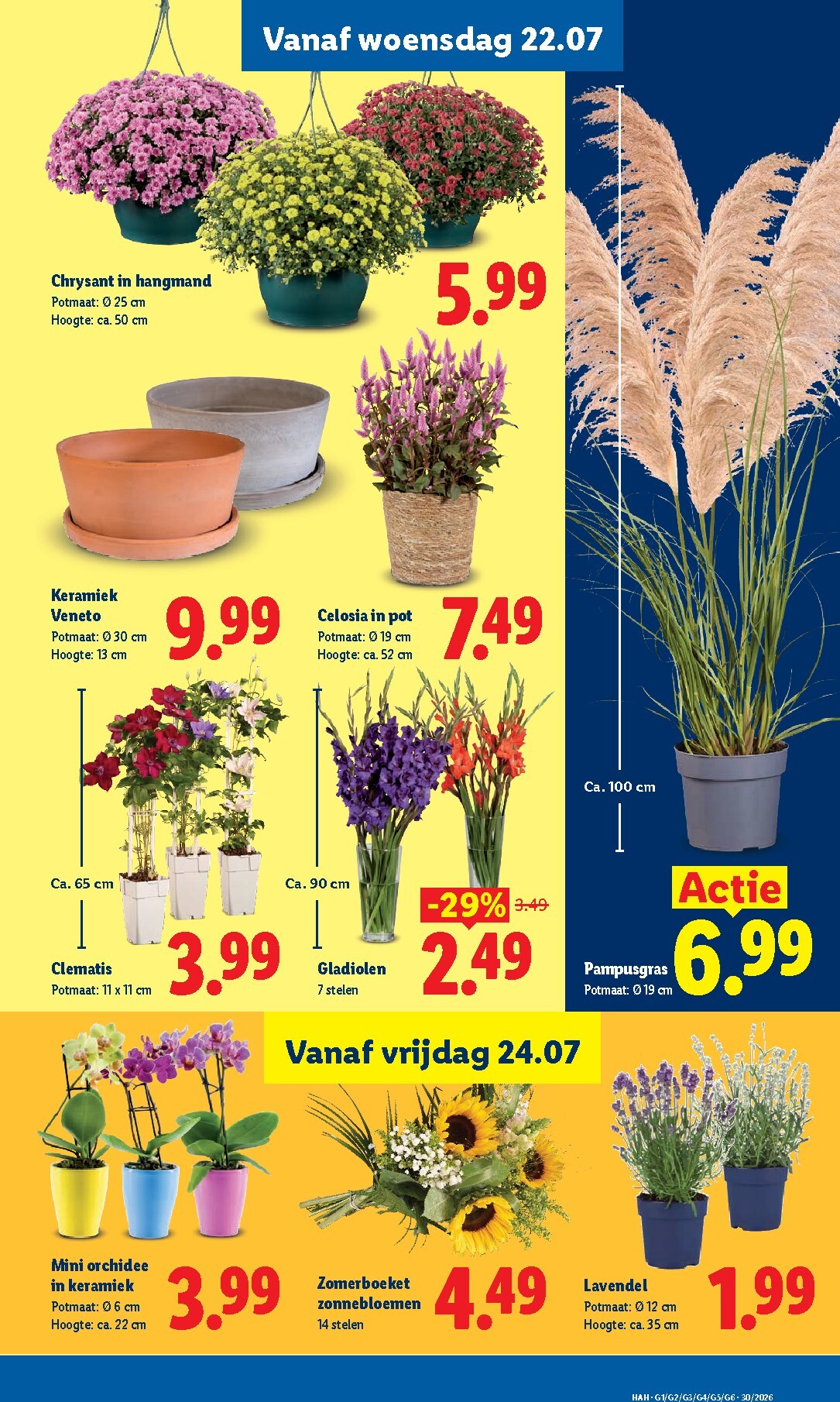 lidl - Lidl - Folder - Week 30 folder voor volgende week van maandag 20-07-2026 tot zondag 26-07-2026 - page: 14