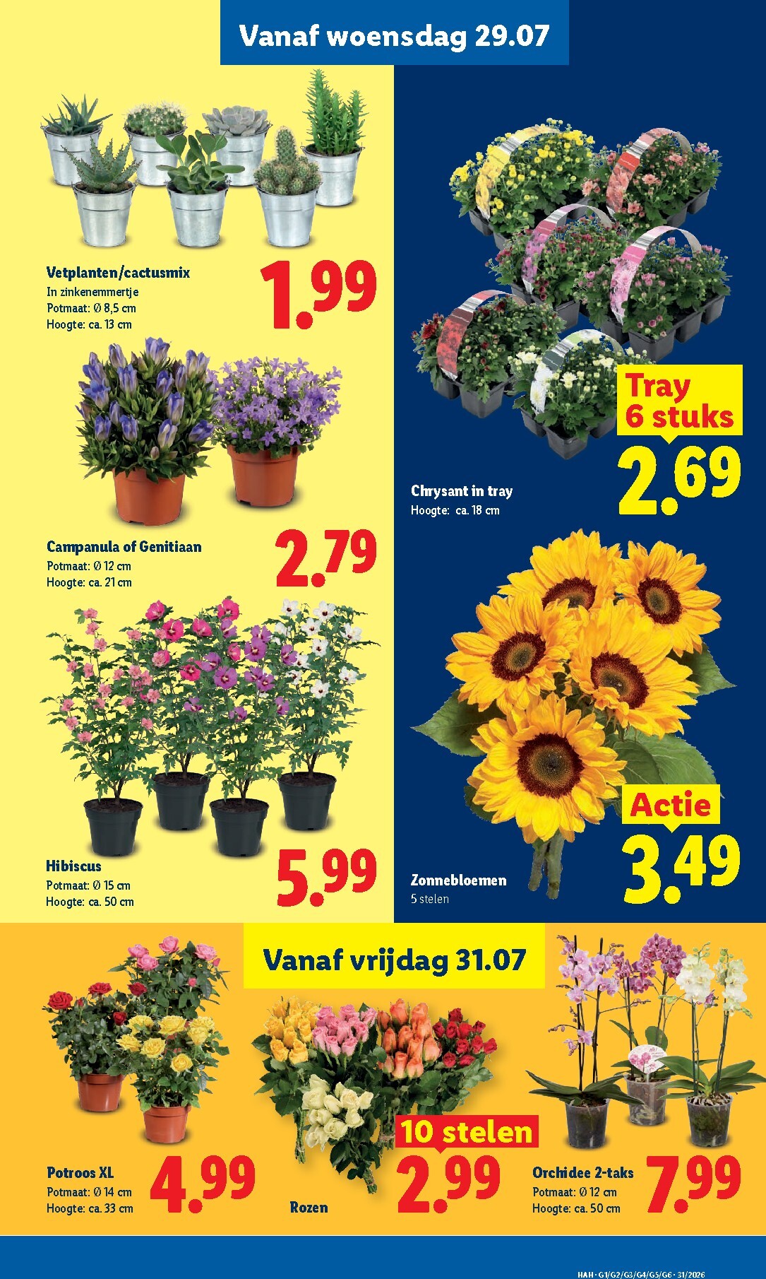 lidl - Huidige Lidl folder geldig van maandag 27-07-2026 tot zondag 02-08-2026 - page: 23