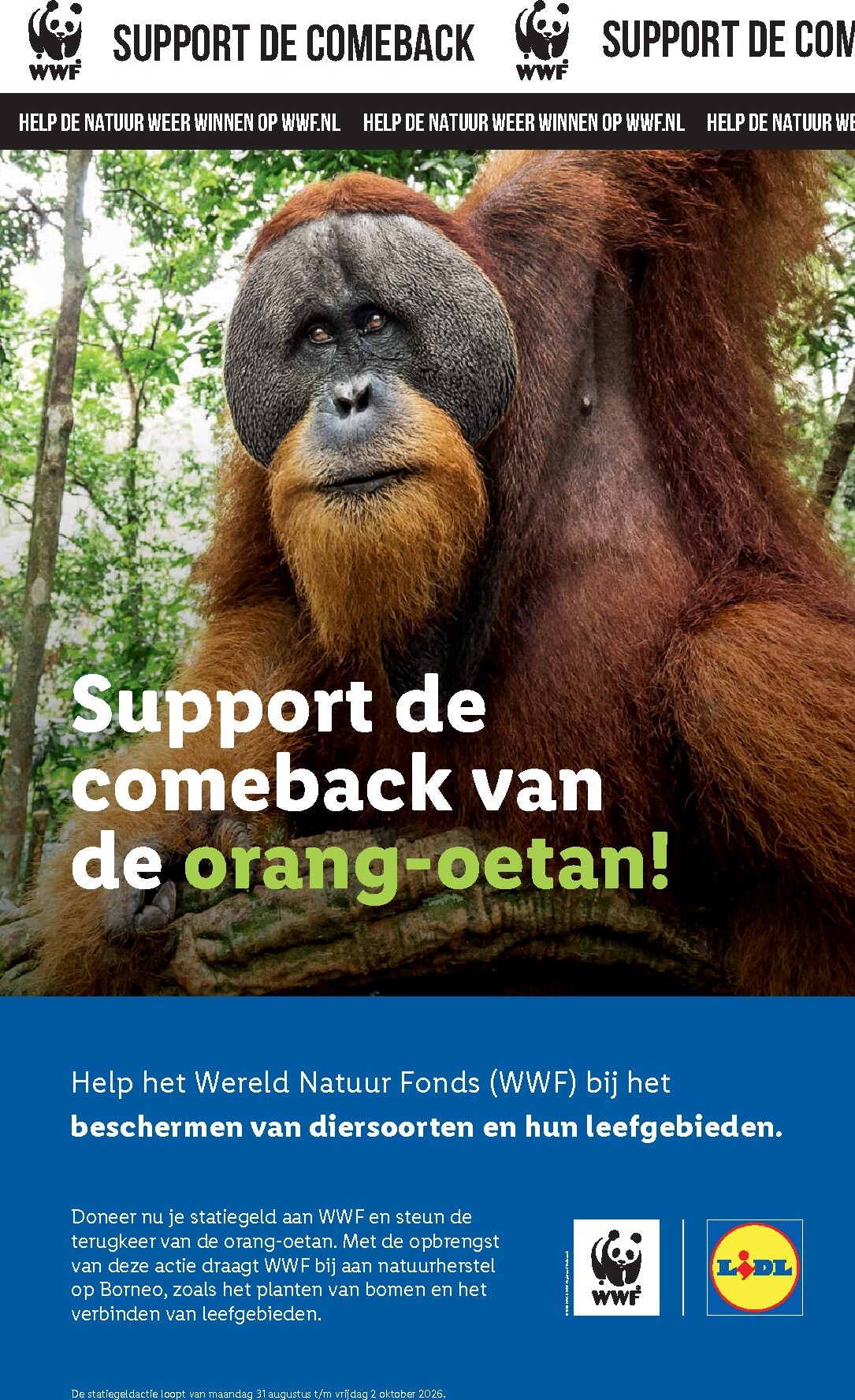 lidl - Lidl folder voor volgende week van maandag 07-09-2026 tot zondag 13-09-2026 - page: 52