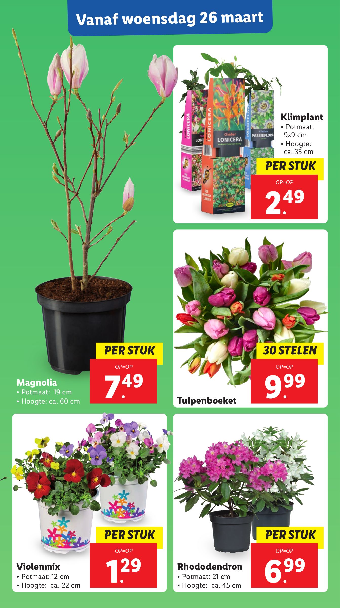 lidl - Lidl - Food folder geldig vanaf 24-03 t/m 30-03 - page: 24 lidl - Lidl - Food folder geldig vanaf 24-03 t/m 30-03 - page: 24