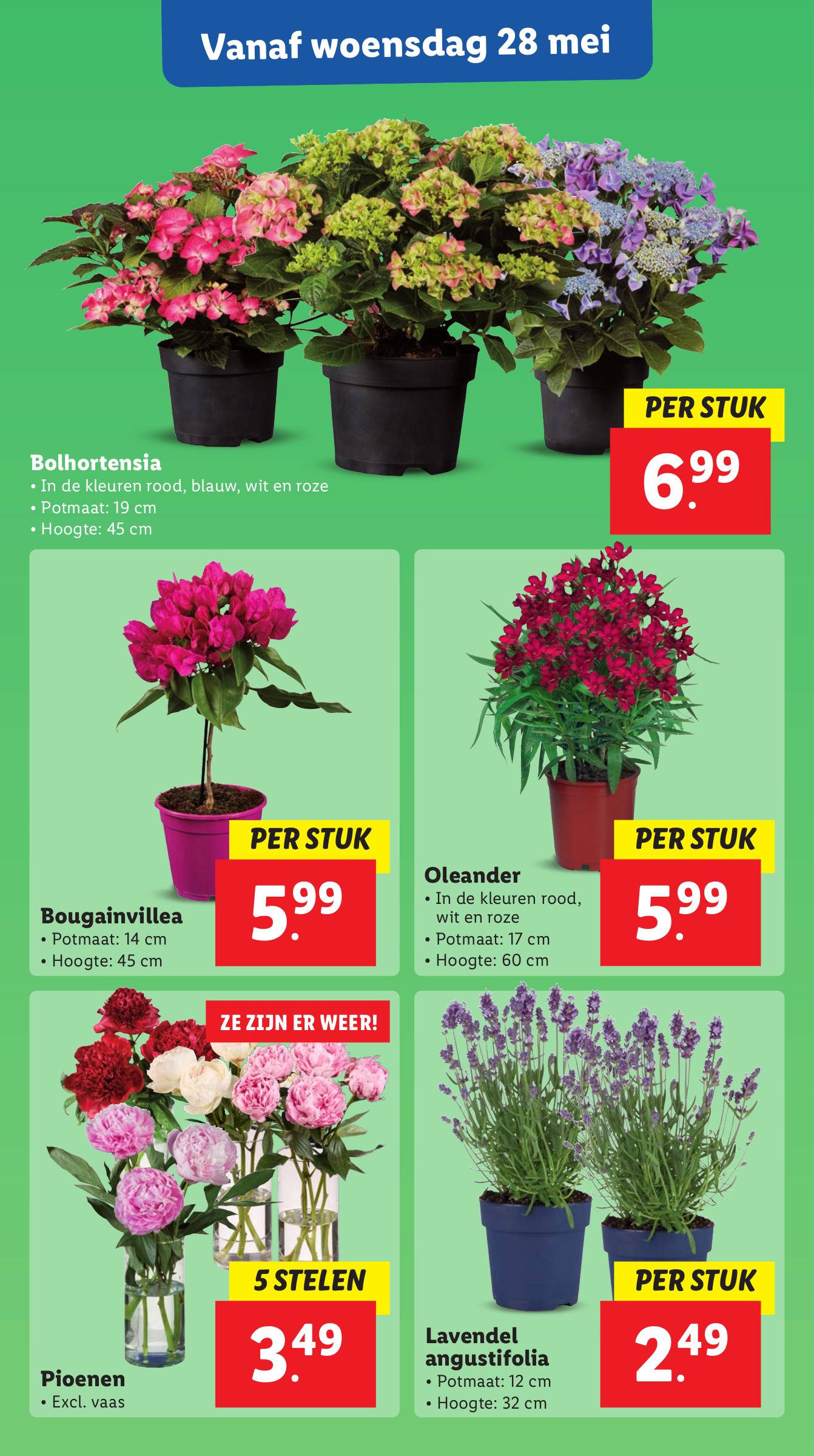 lidl - Lidl folder geldig vanaf 26-05 t/m 01-06 - page: 50 lidl - Lidl folder geldig vanaf 26-05 t/m 01-06 - page: 50