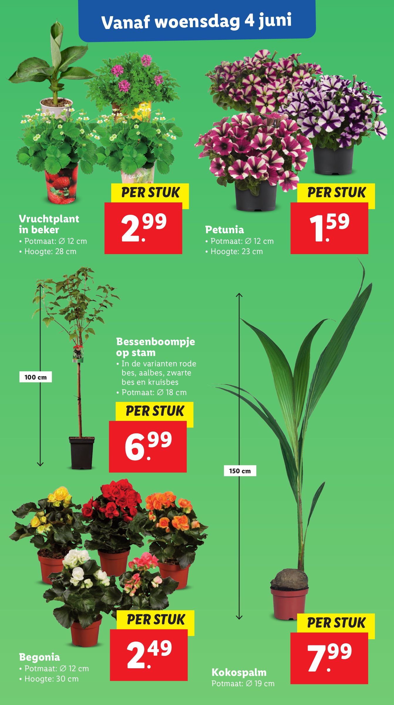 lidl - Lidl folder geldig vanaf 02-06 t/m 09-06 - page: 16 lidl - Lidl folder geldig vanaf 02-06 t/m 09-06 - page: 16