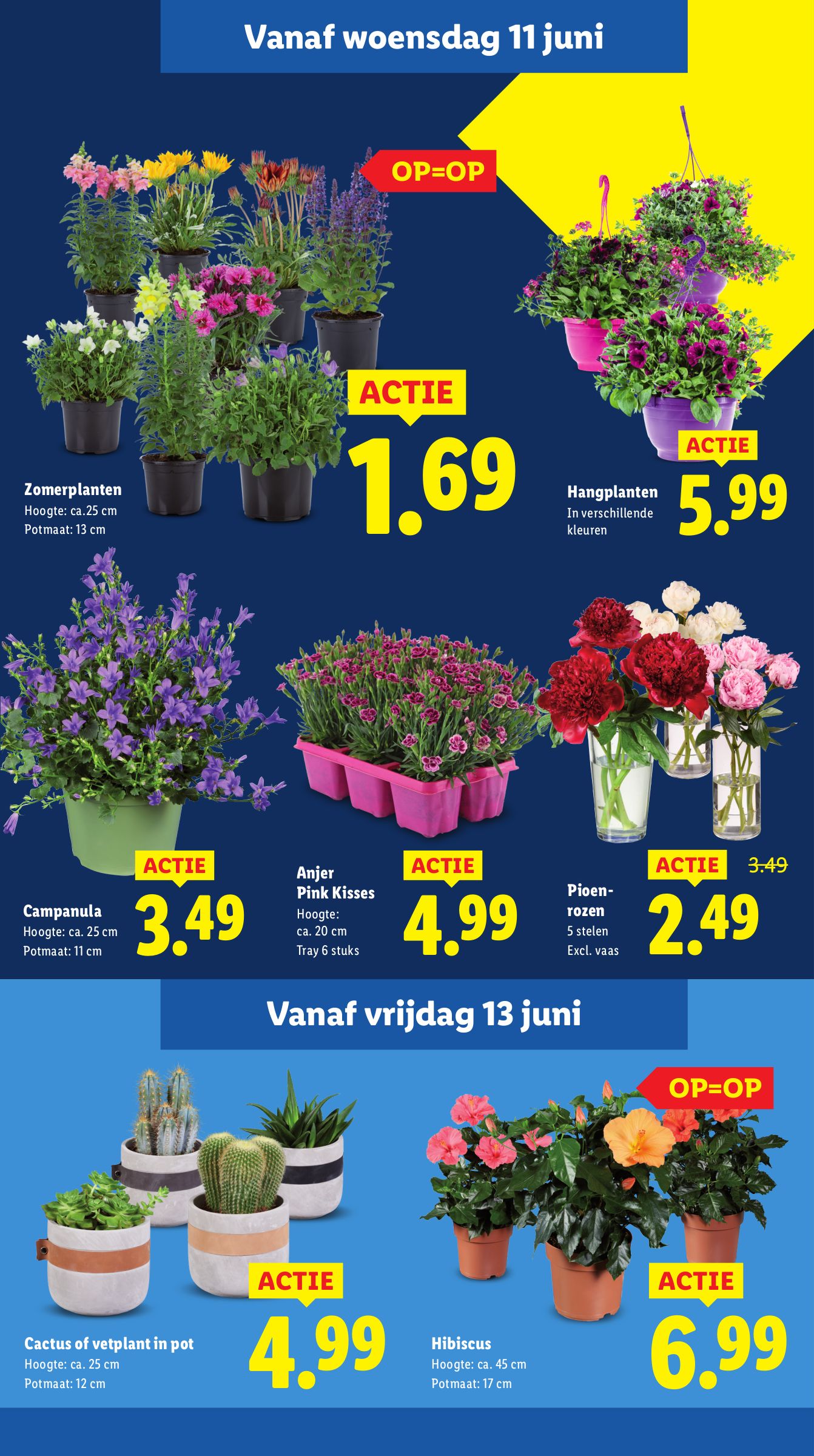 lidl - Lidl - Folder folder geldig vanaf 10-06 t/m 15-06 - page: 16 lidl - Lidl - Folder folder geldig vanaf 10-06 t/m 15-06 - page: 16