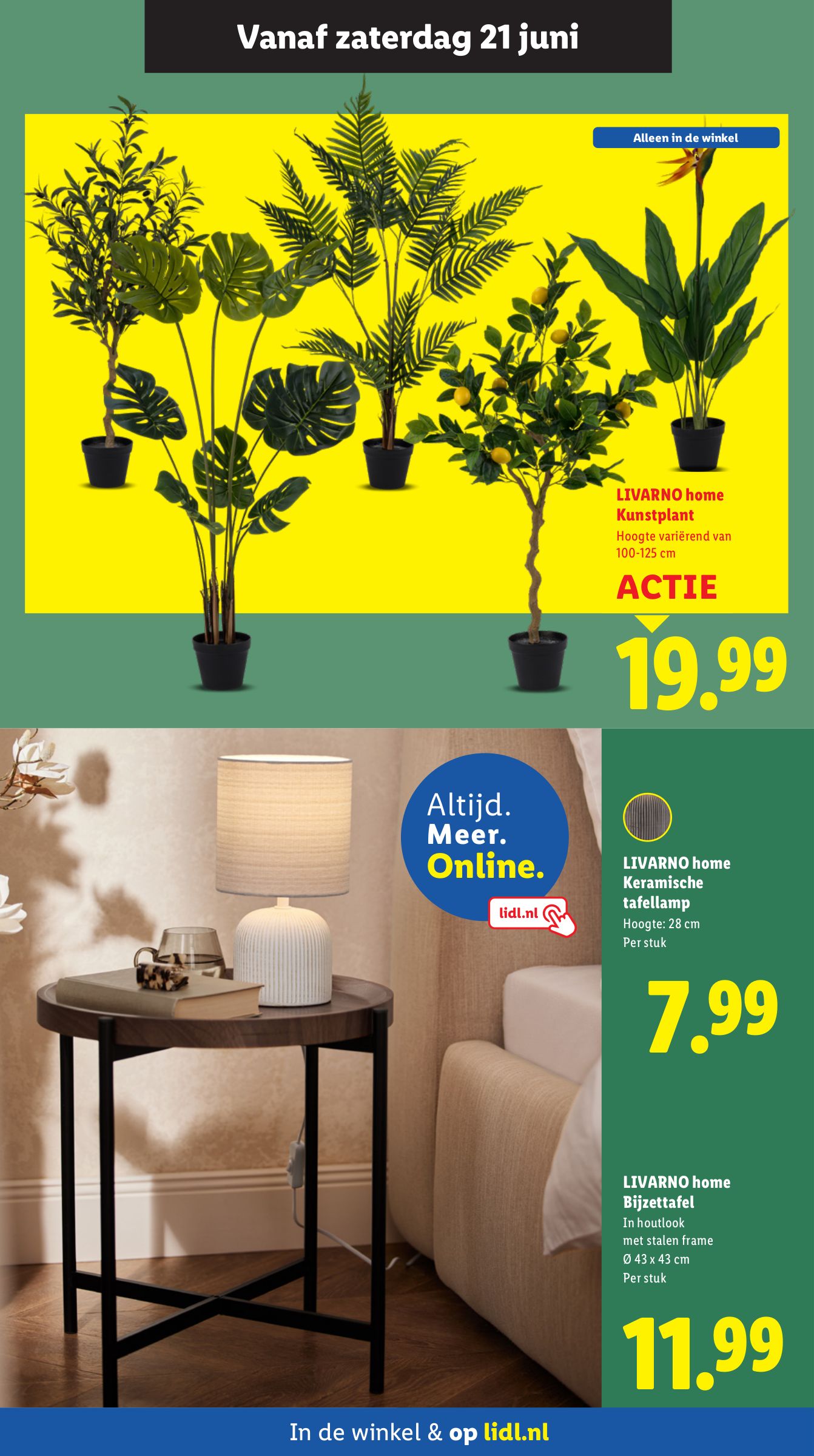 lidl - Lidl - Non Food folder geldig vanaf 18-06 t/m 21-06 - page: 10