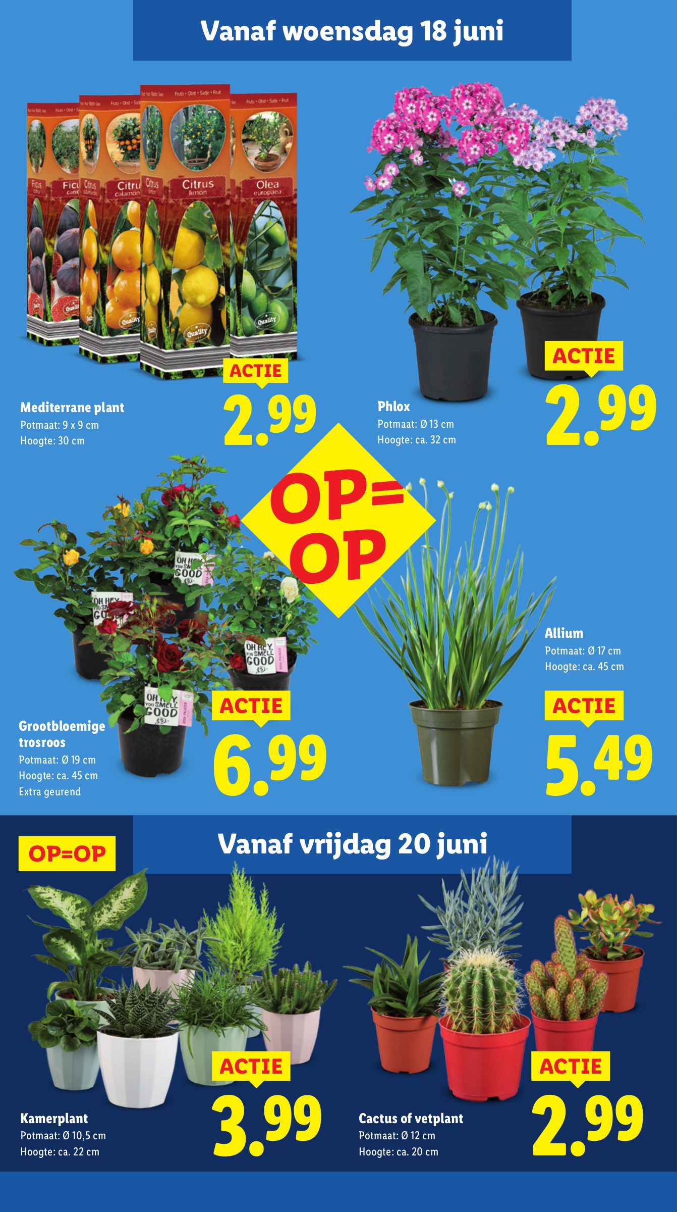 lidl - Lidl folder geldig vanaf 16-06 t/m 22-06 - page: 14 lidl - Lidl folder geldig vanaf 16-06 t/m 22-06 - page: 14