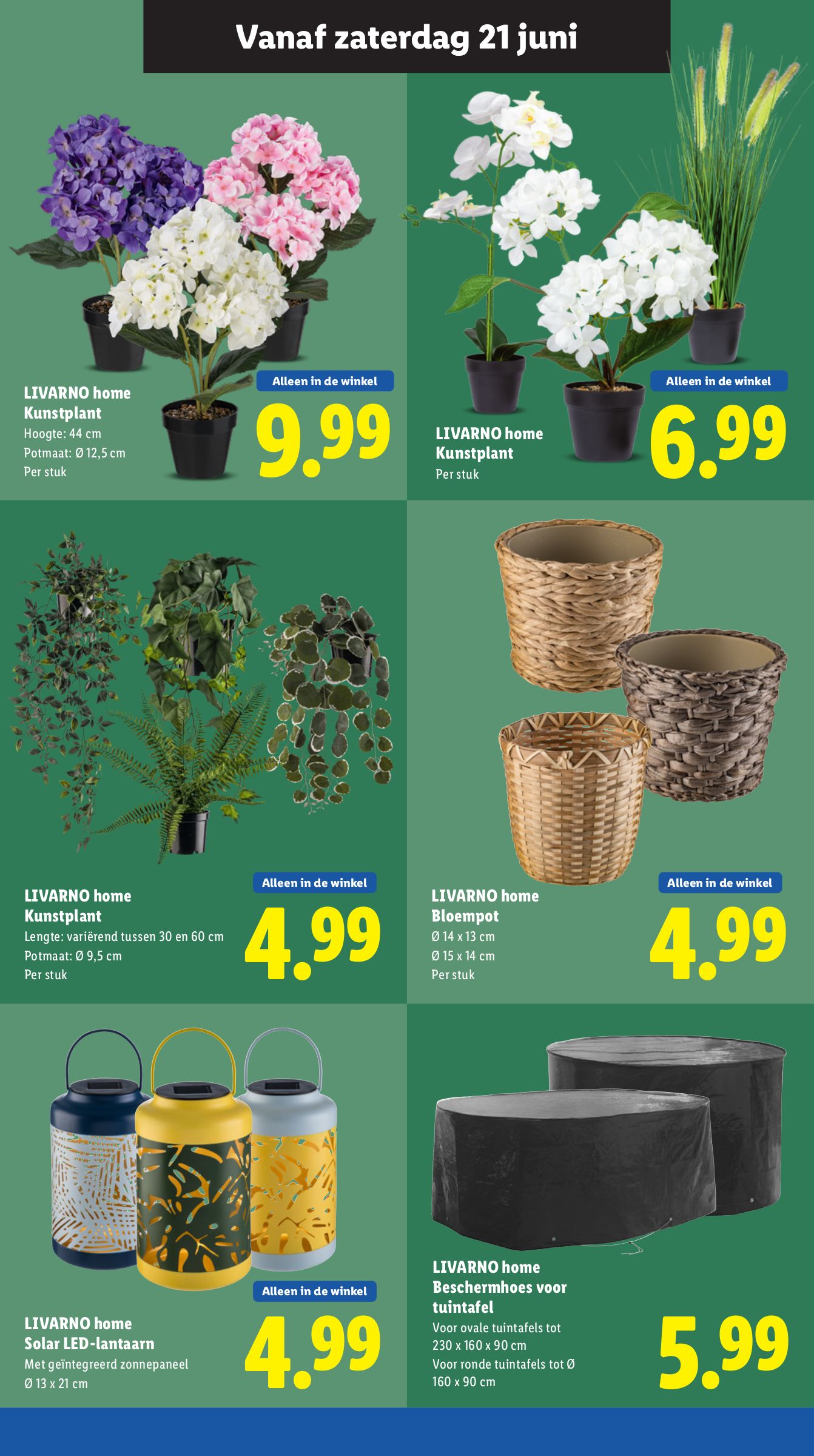 lidl - Lidl folder geldig vanaf 16-06 t/m 22-06 - page: 33 lidl - Lidl folder geldig vanaf 16-06 t/m 22-06 - page: 33