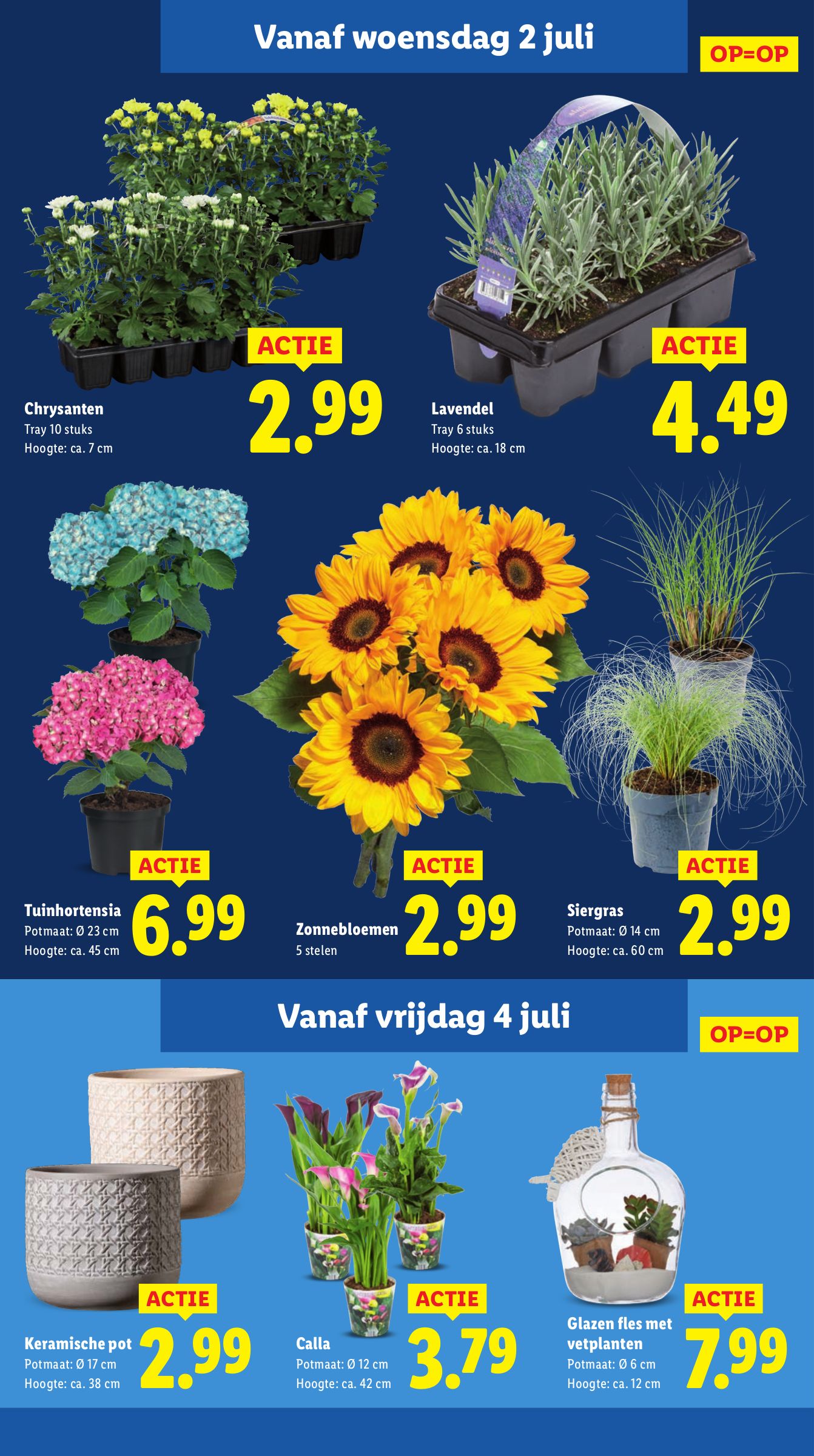 lidl - Lidl folder geldig vanaf 30-06 t/m 06-07 - page: 15 lidl - Lidl folder geldig vanaf 30-06 t/m 06-07 - page: 15