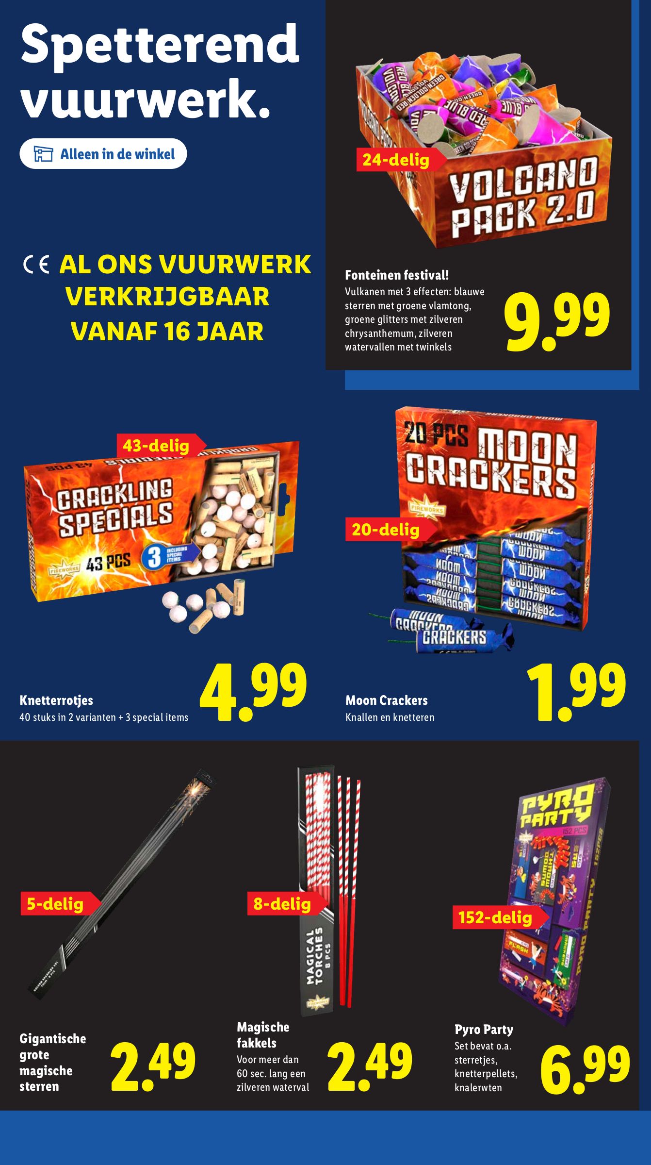 lidl - De Lidl folder geldig vanaf 22-12 t/m 28-12 - page: 33