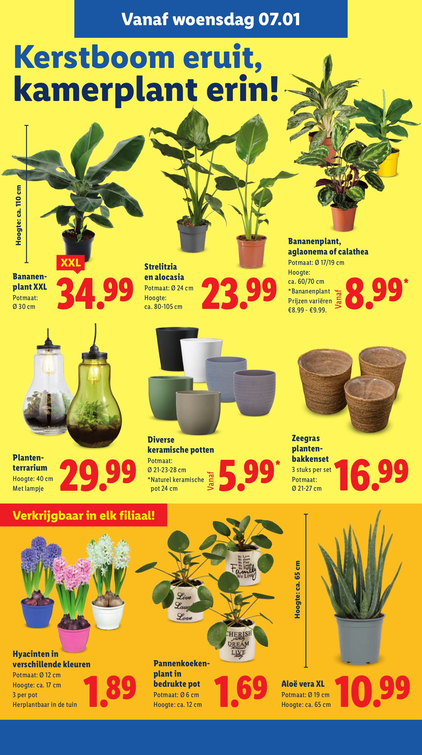 lidl - De Lidl folder geldig vanaf 05-01 t/m 11-01 - page: 16