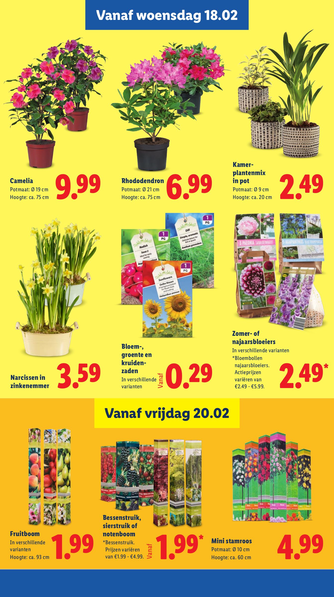 lidl - De Lidl folder geldig vanaf 16-02-2026 t/m 22-02-2026 - page: 15