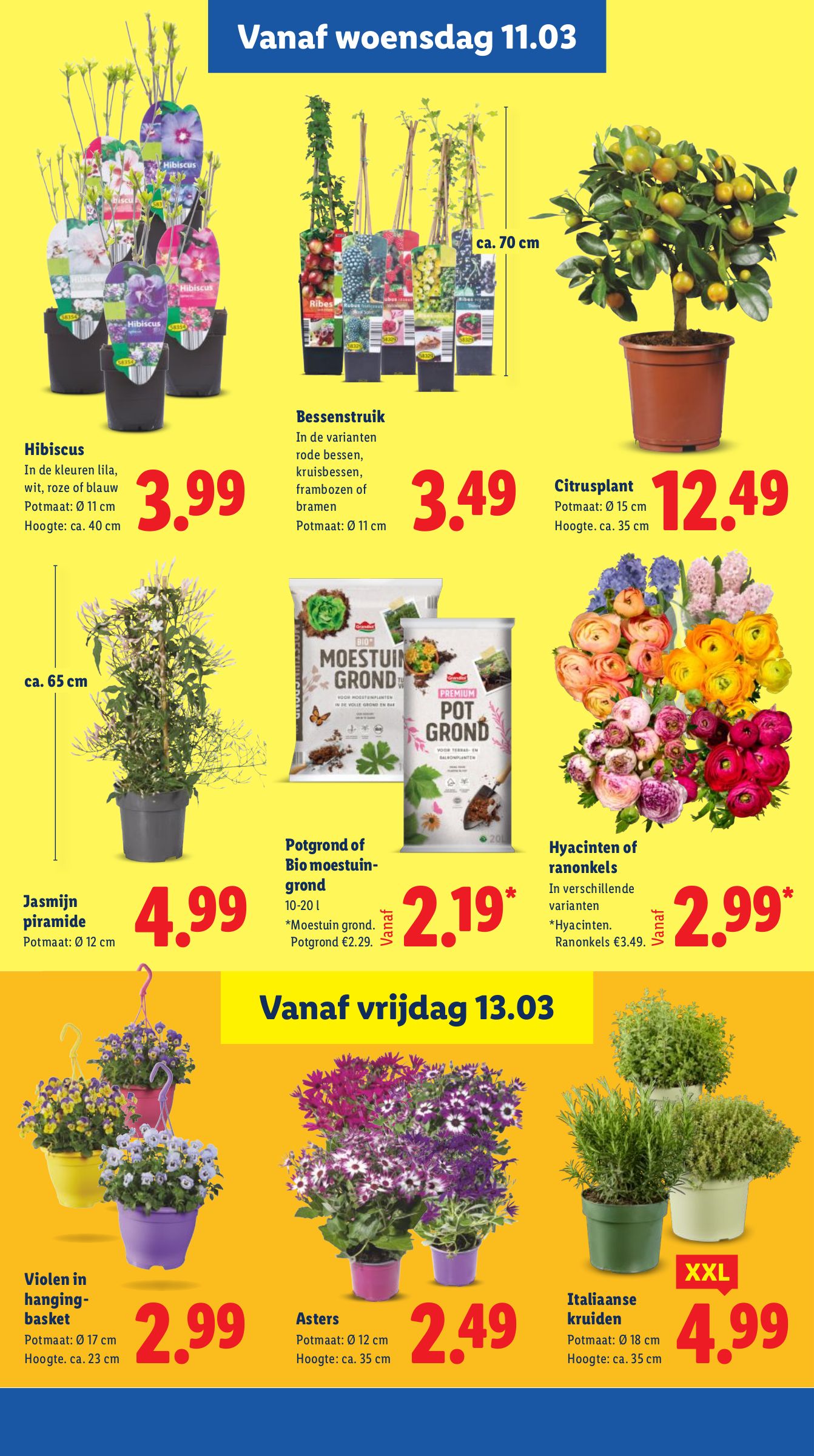 lidl - De Lidl folder geldig vanaf 09-03-2026 t/m 15-03-2026 - page: 18