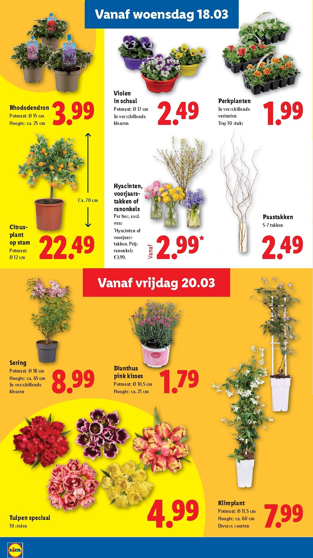 lidl - De Lidl folder geldig vanaf 16-03-2026 t/m 22-03-2026 - page: 18