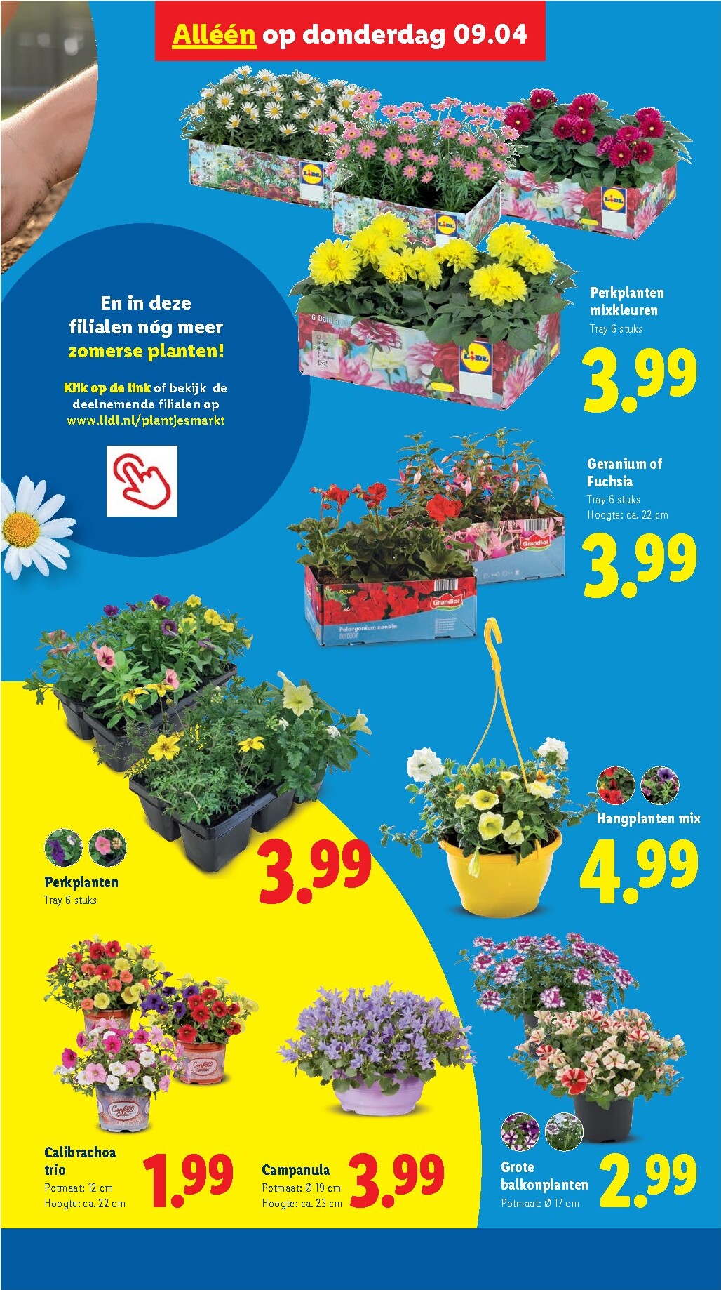 lidl - De Lidl folder geldig vanaf 07-04-2026 t/m 12-04-2026 - page: 36