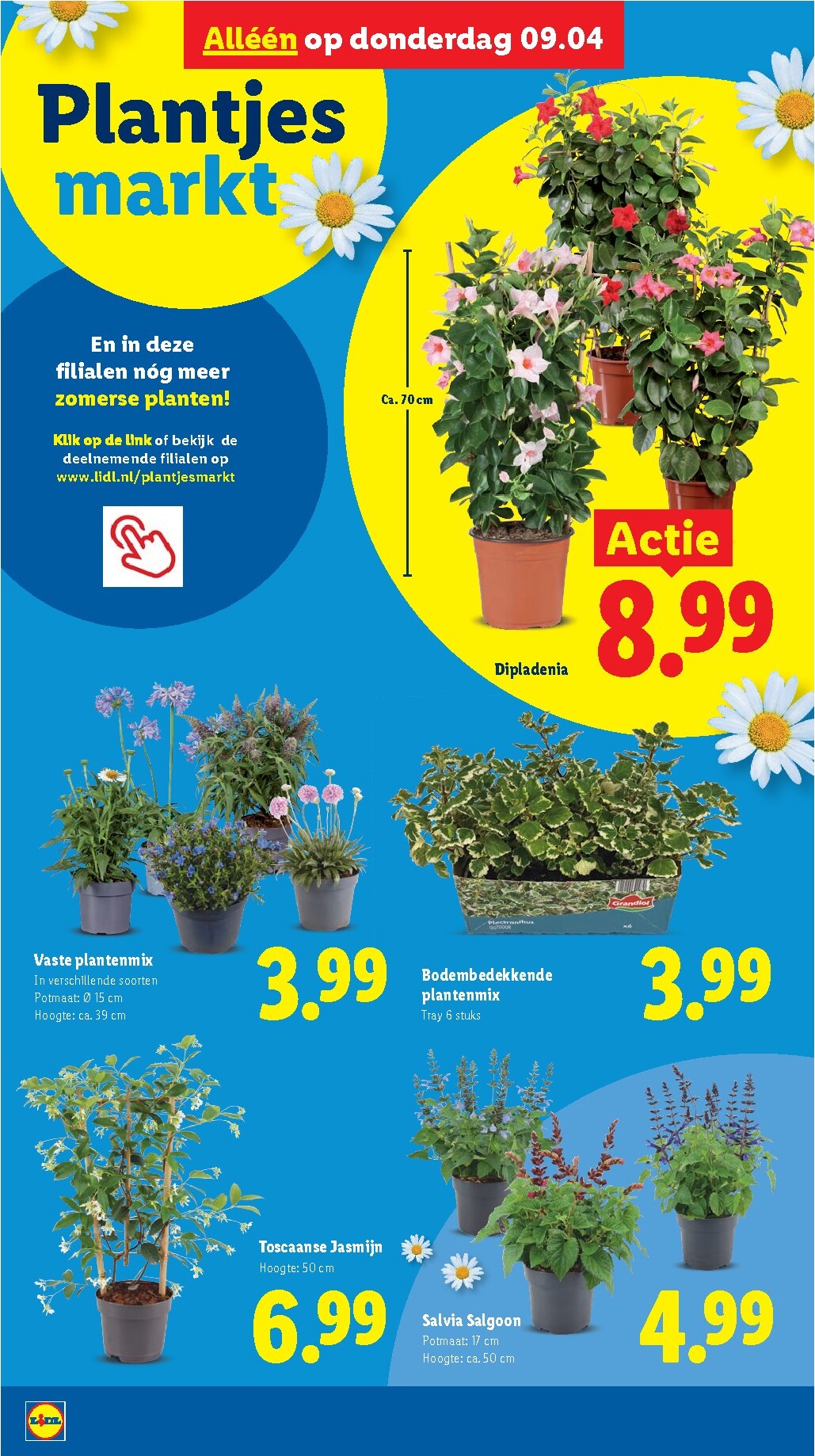 lidl - De Lidl folder geldig vanaf 07-04-2026 t/m 12-04-2026 - page: 37